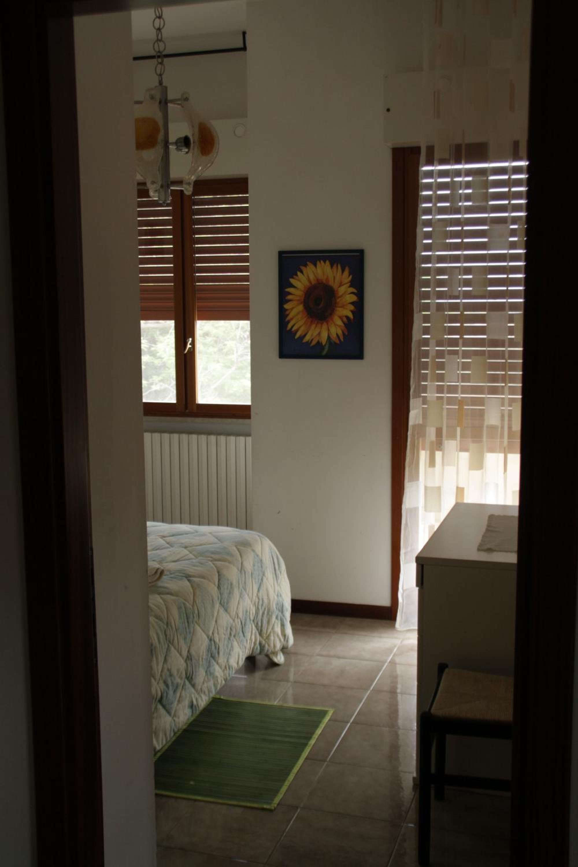 Photo 38