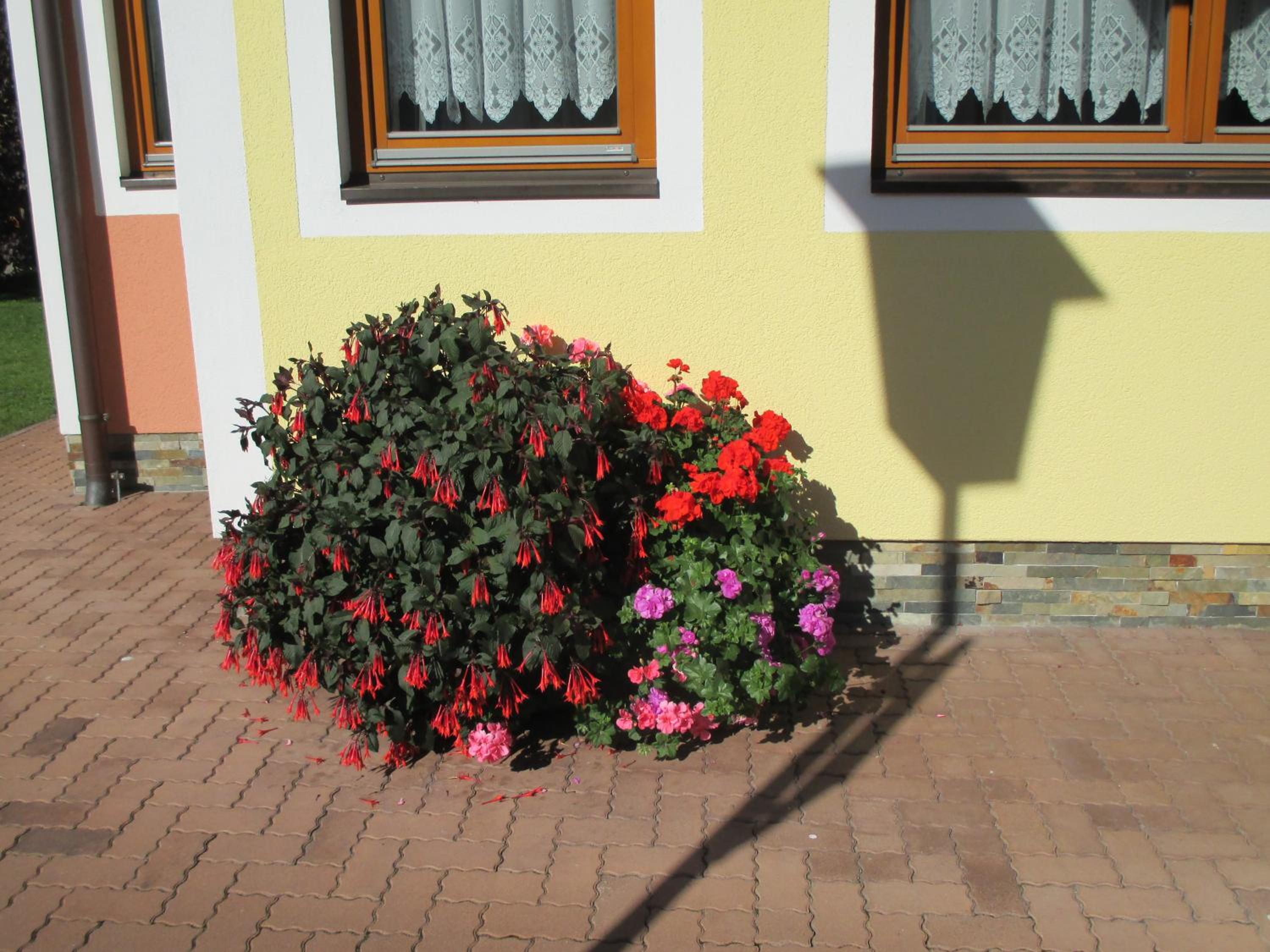 Vermietung & Verpachtung Zellermoosstraße 14