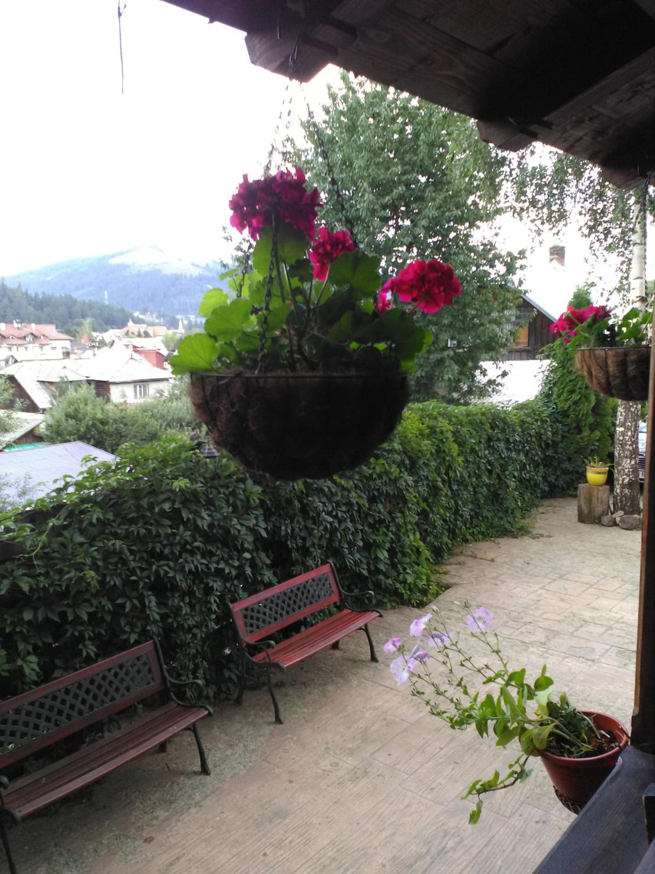 Photo 6