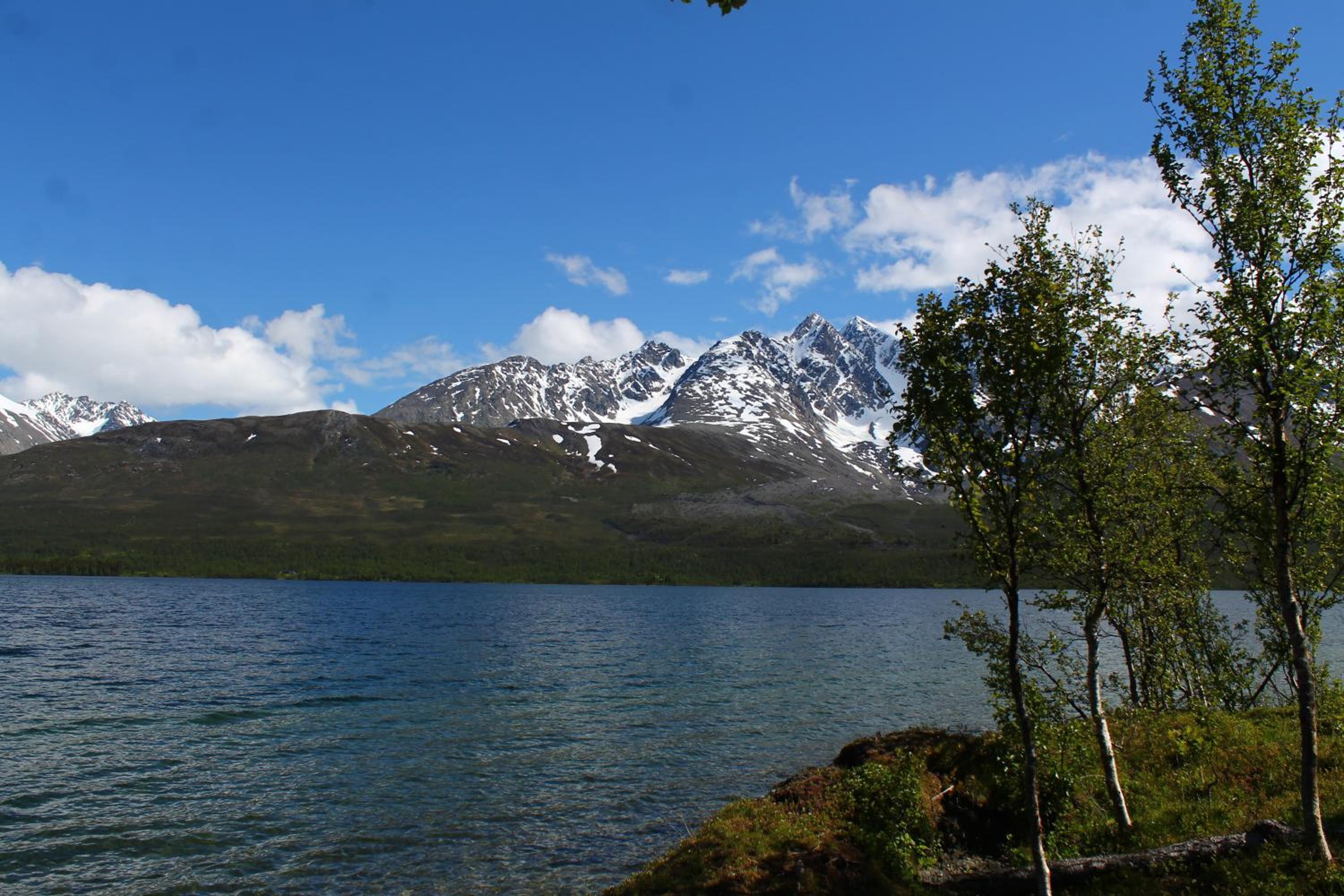 Photo 26