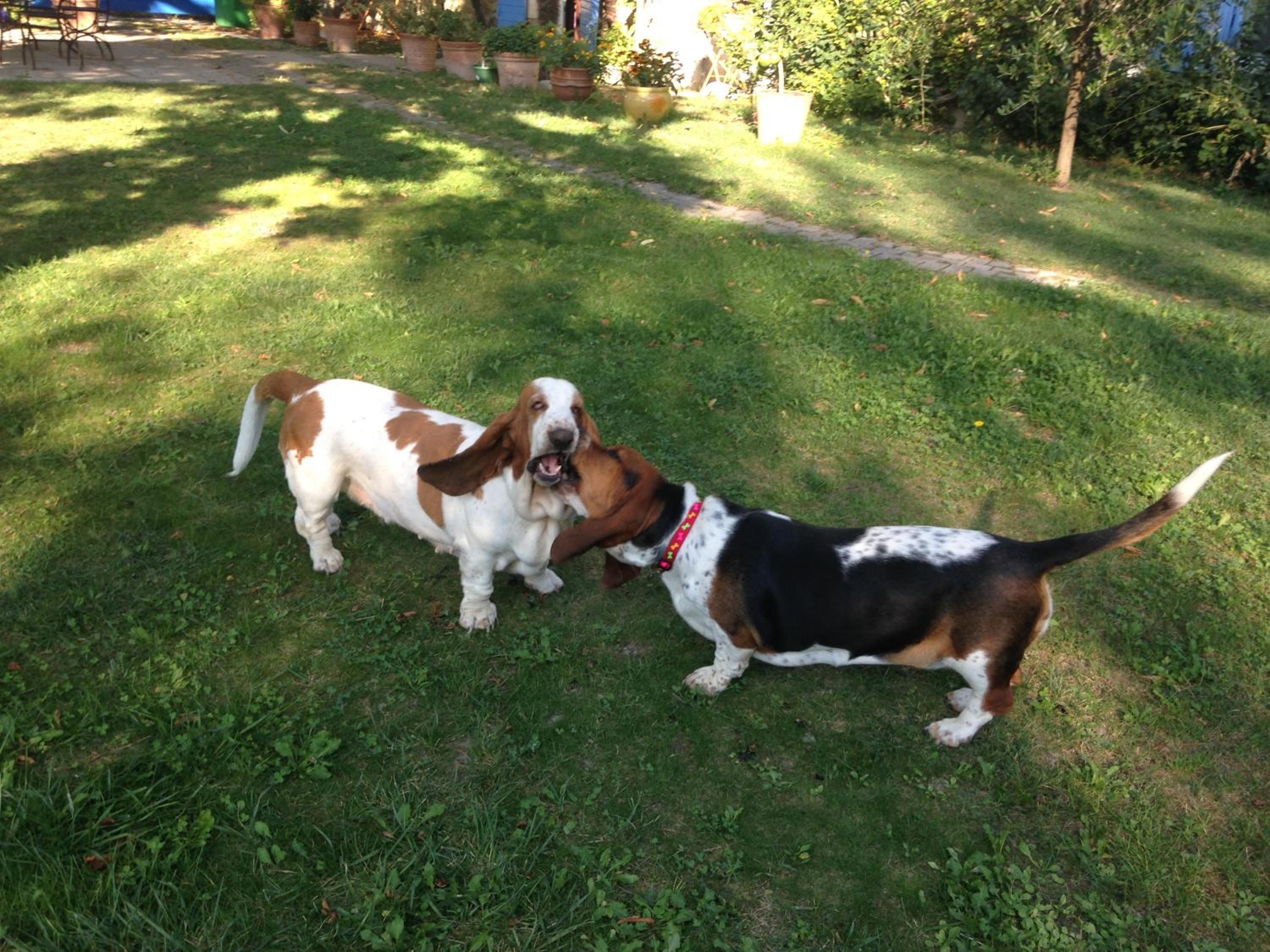 Photo 21