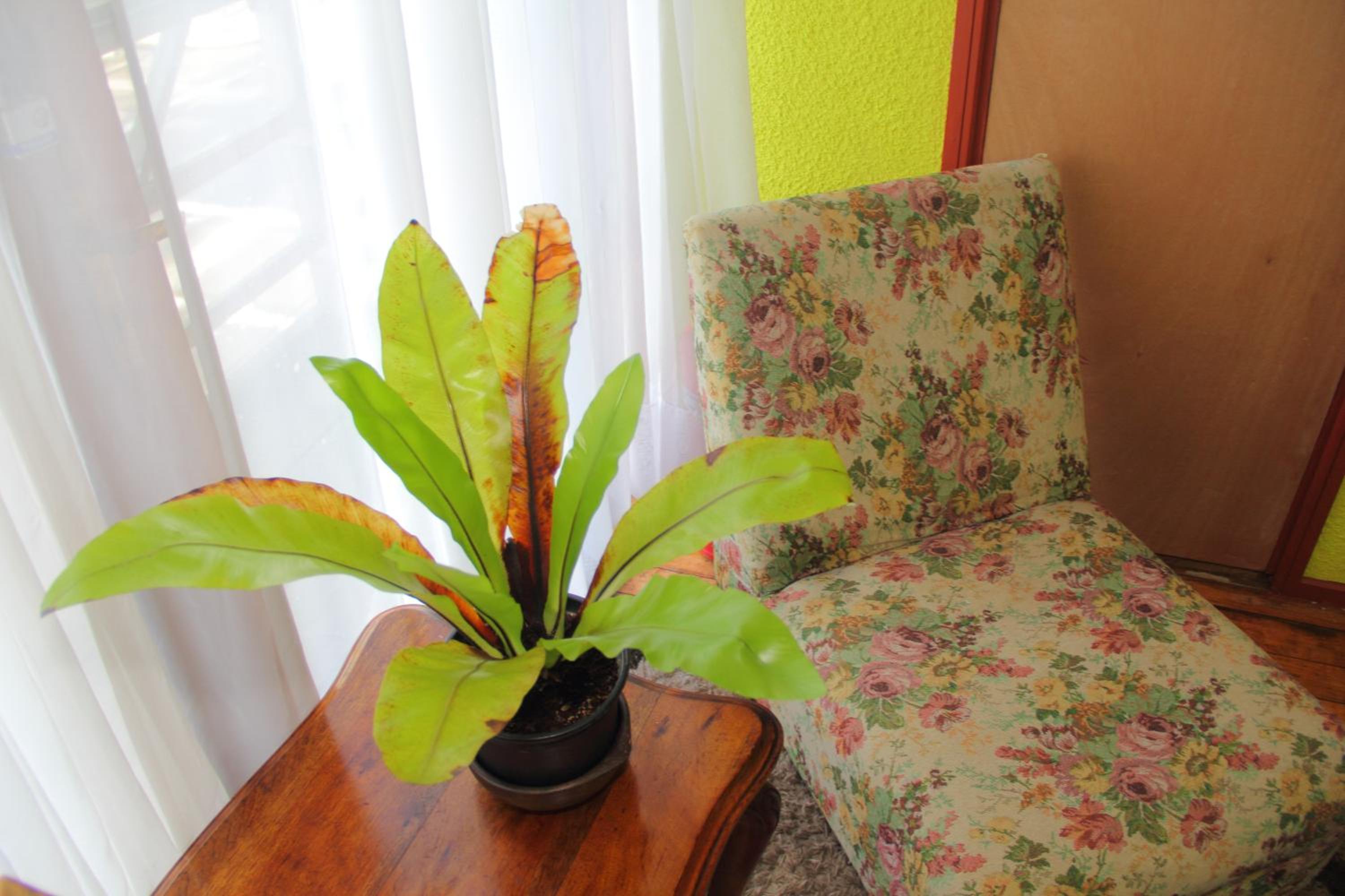 Hostal Benavente