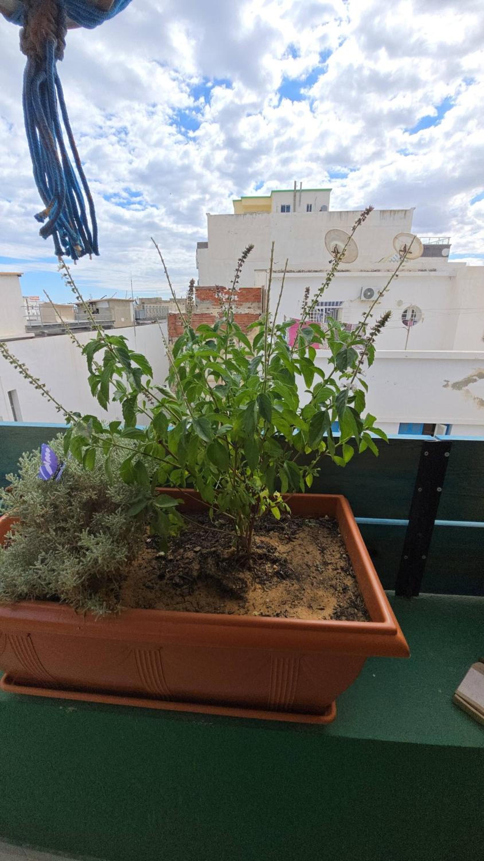 Charming 2-Bedroom Apartment in the Heart of Sousse