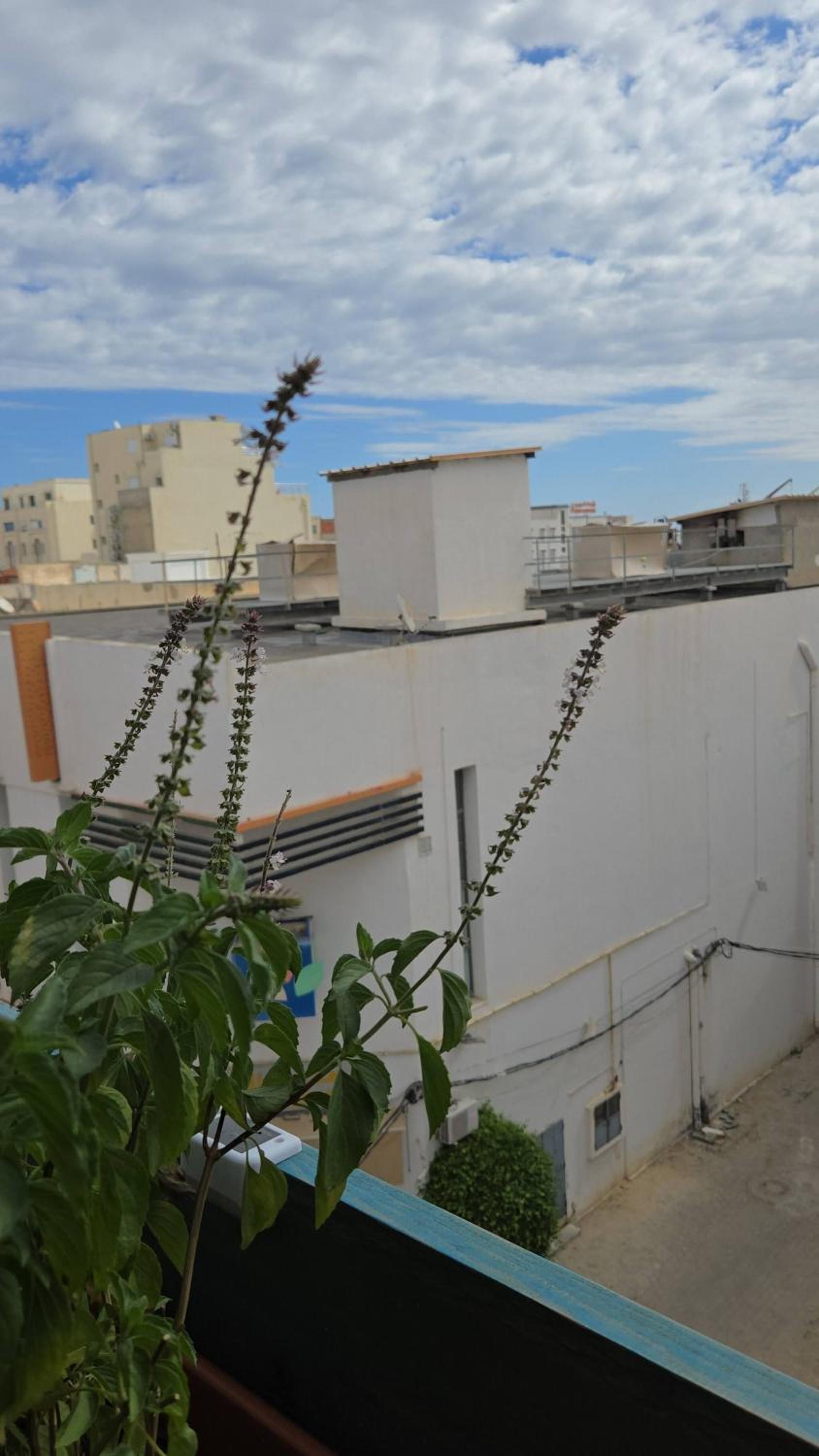 Charming 2-Bedroom Apartment in the Heart of Sousse