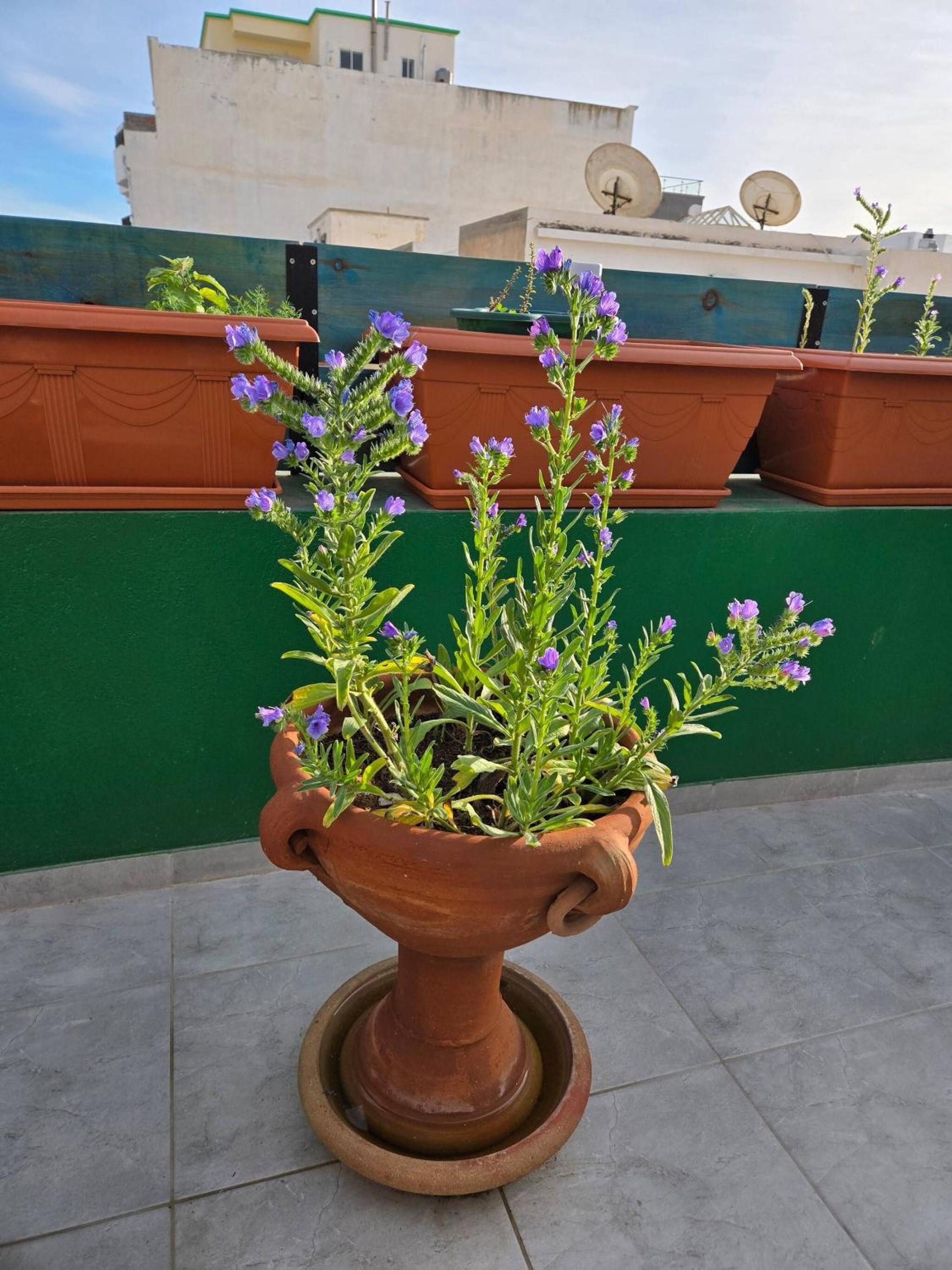 Charming 2-Bedroom Apartment in the Heart of Sousse