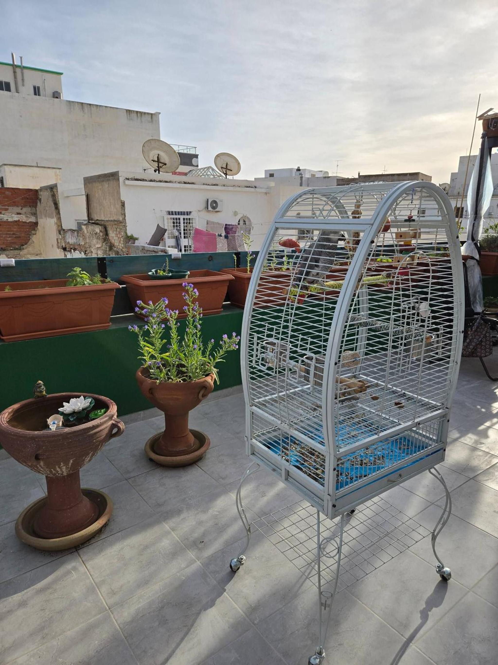 Charming 2-Bedroom Apartment in the Heart of Sousse