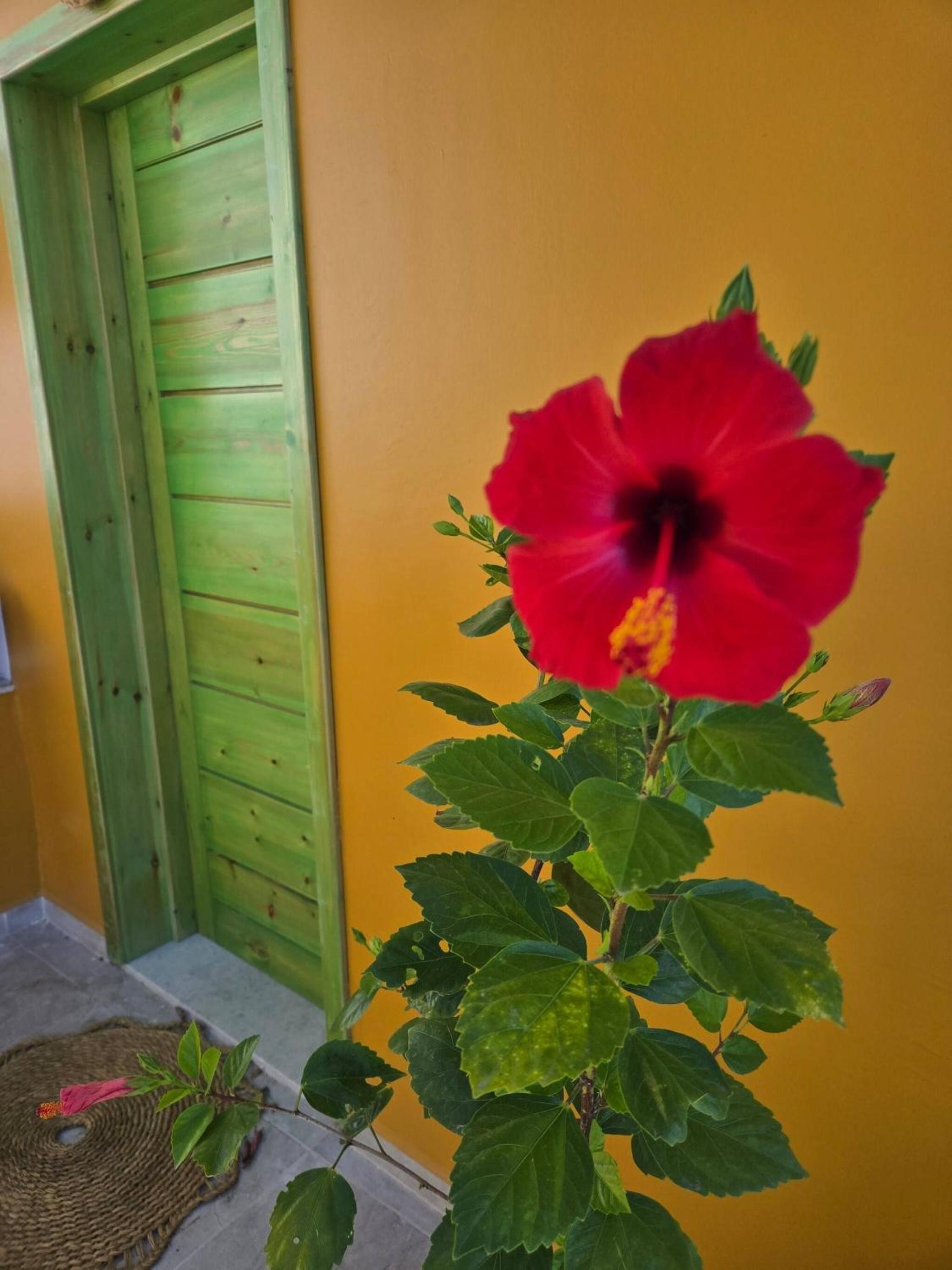 Charming 2-Bedroom Apartment in the Heart of Sousse
