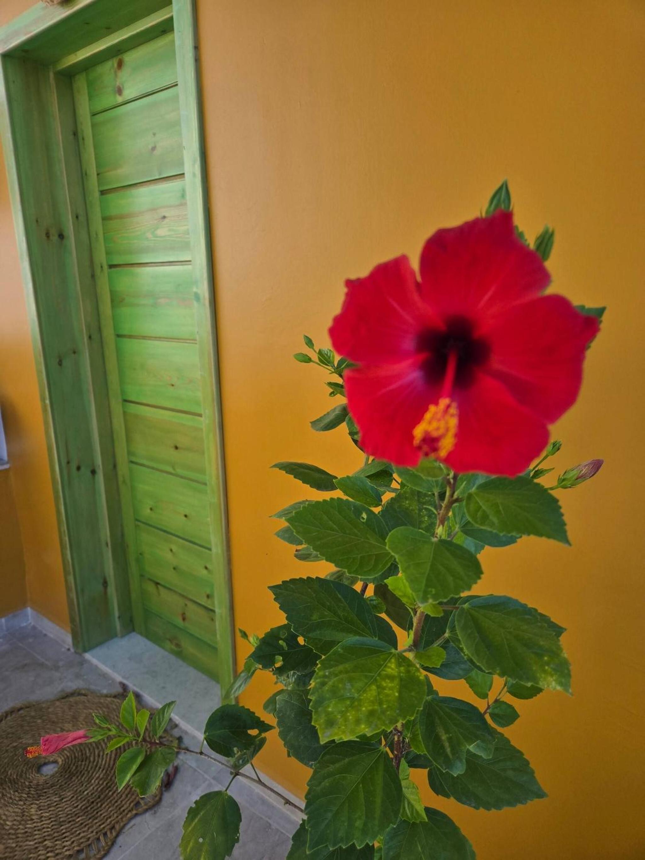 Charming 2-Bedroom Apartment in the Heart of Sousse