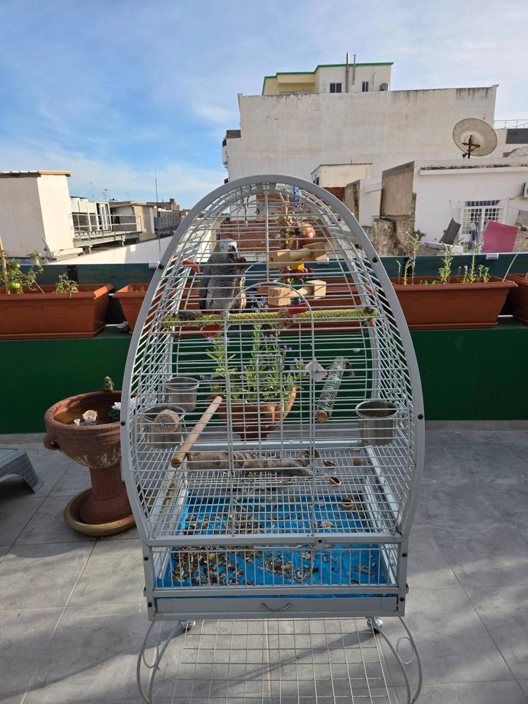 Cozy 1-Bedroom Apartment in Sousse with Outdoor Kitchen and Balcony