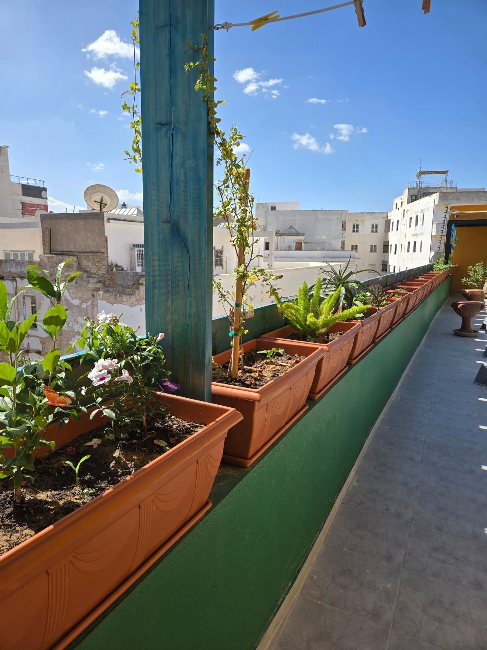 Cozy 1-Bedroom Apartment in Sousse with Outdoor Kitchen and Balcony
