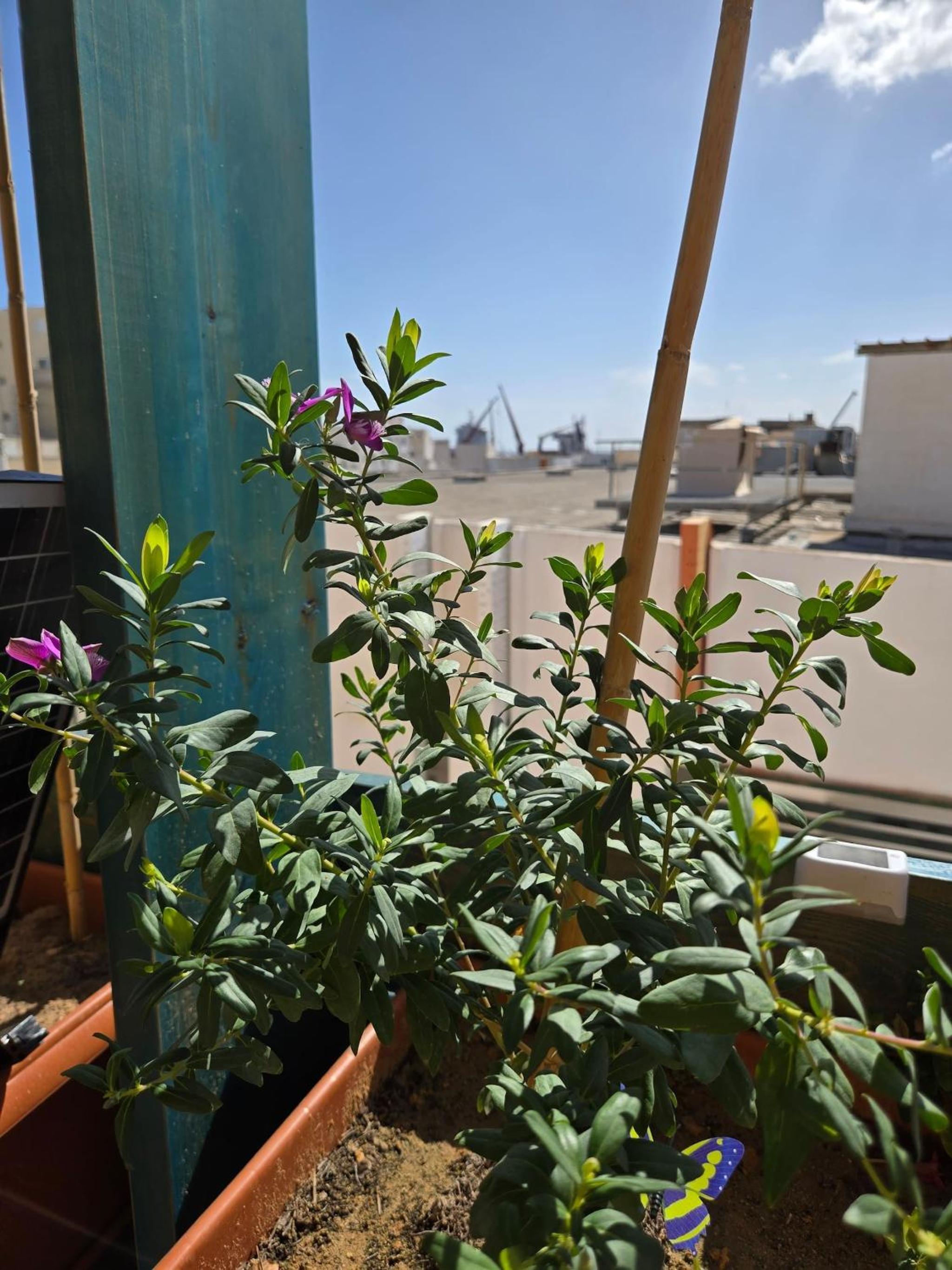 Cozy 1-Bedroom Apartment in Sousse with Outdoor Kitchen and Balcony