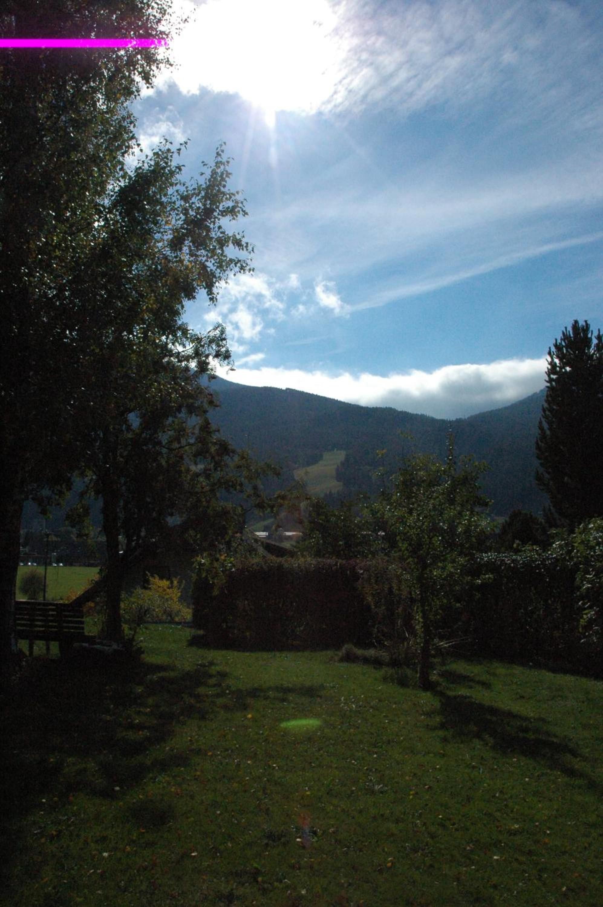 Photo 100