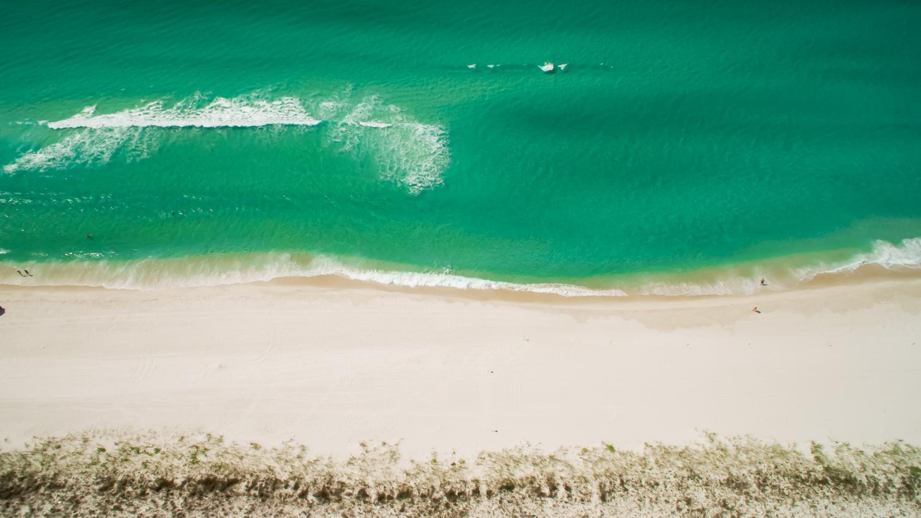 Shores of Panama 2212 | Sea You Soon