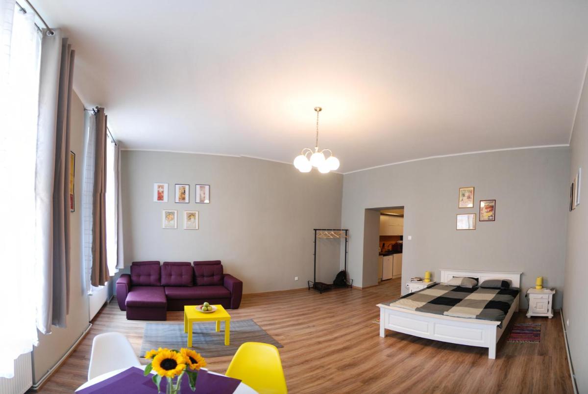 Apartment City Centre Timisoara view 4