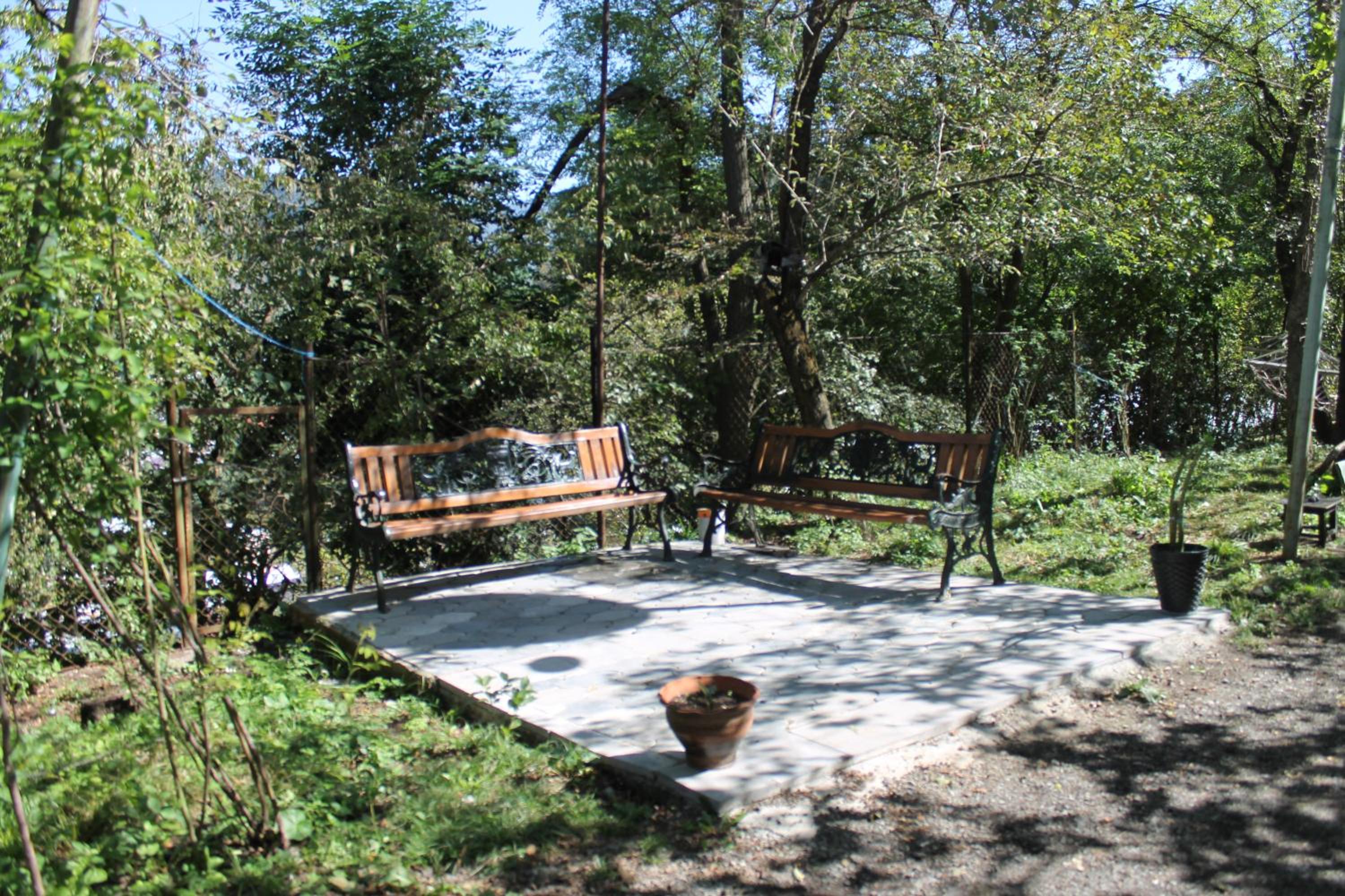 Photo 12