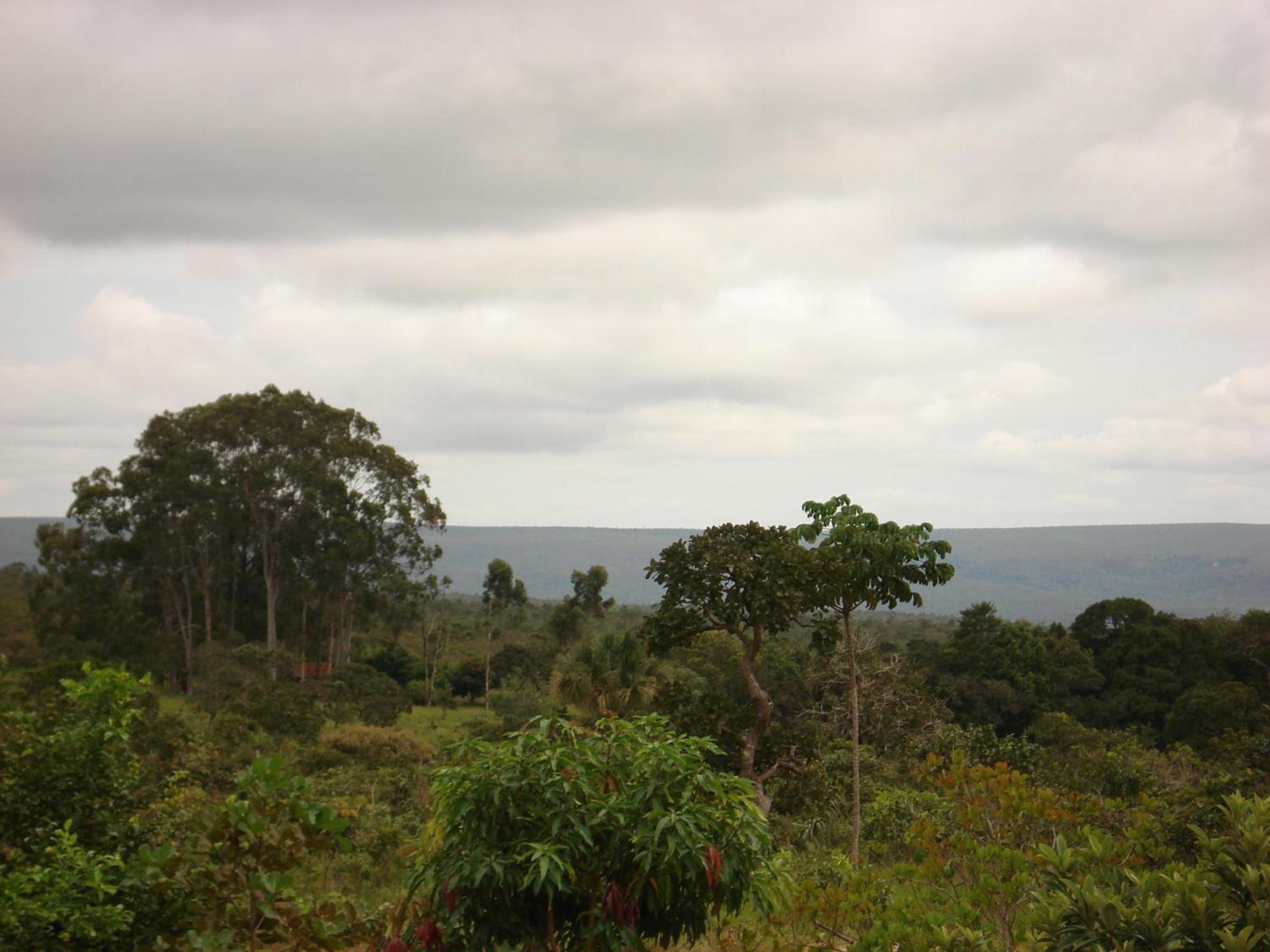 Pousada Jardim da Chapada