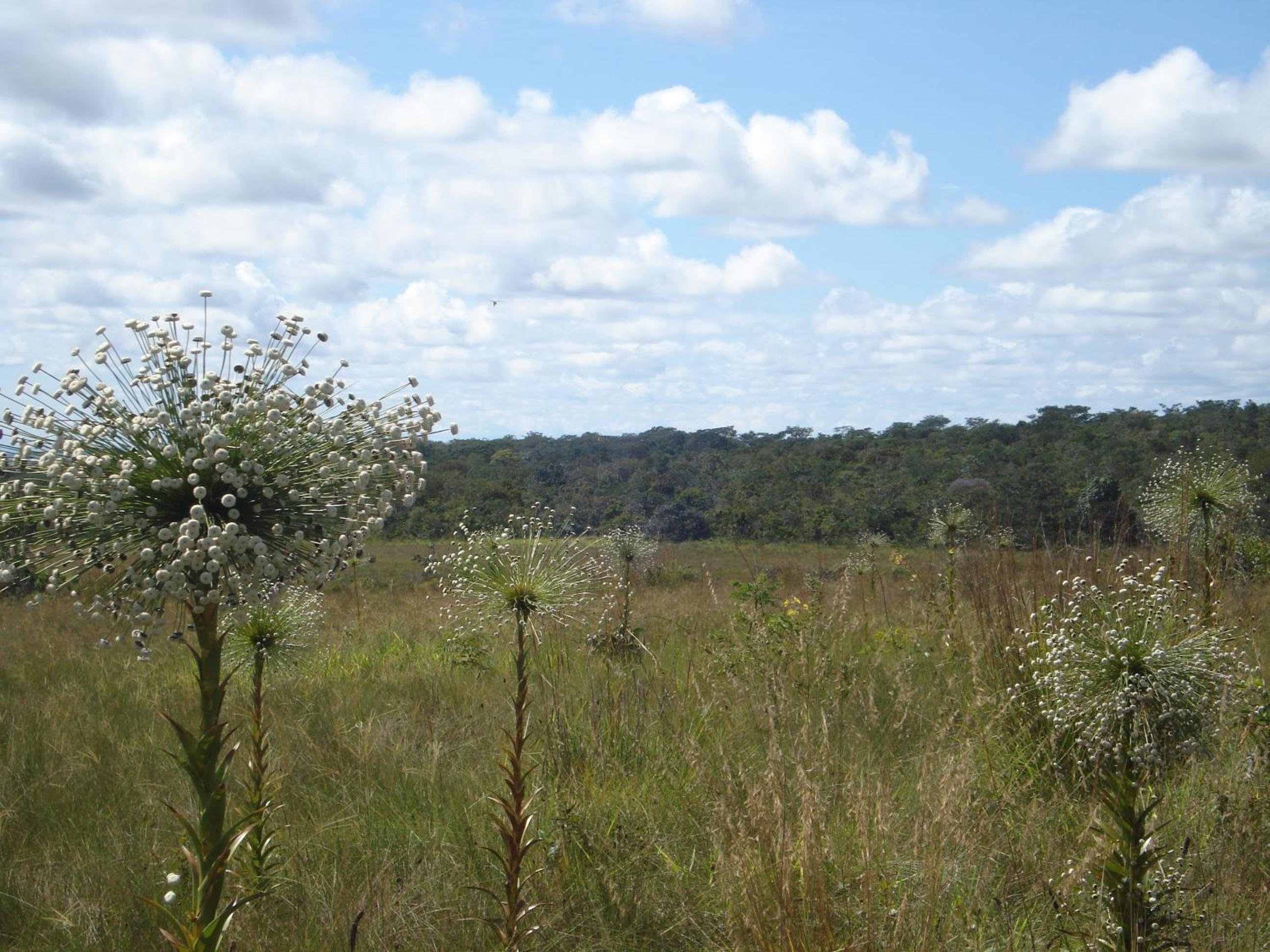 Pousada Jardim da Chapada