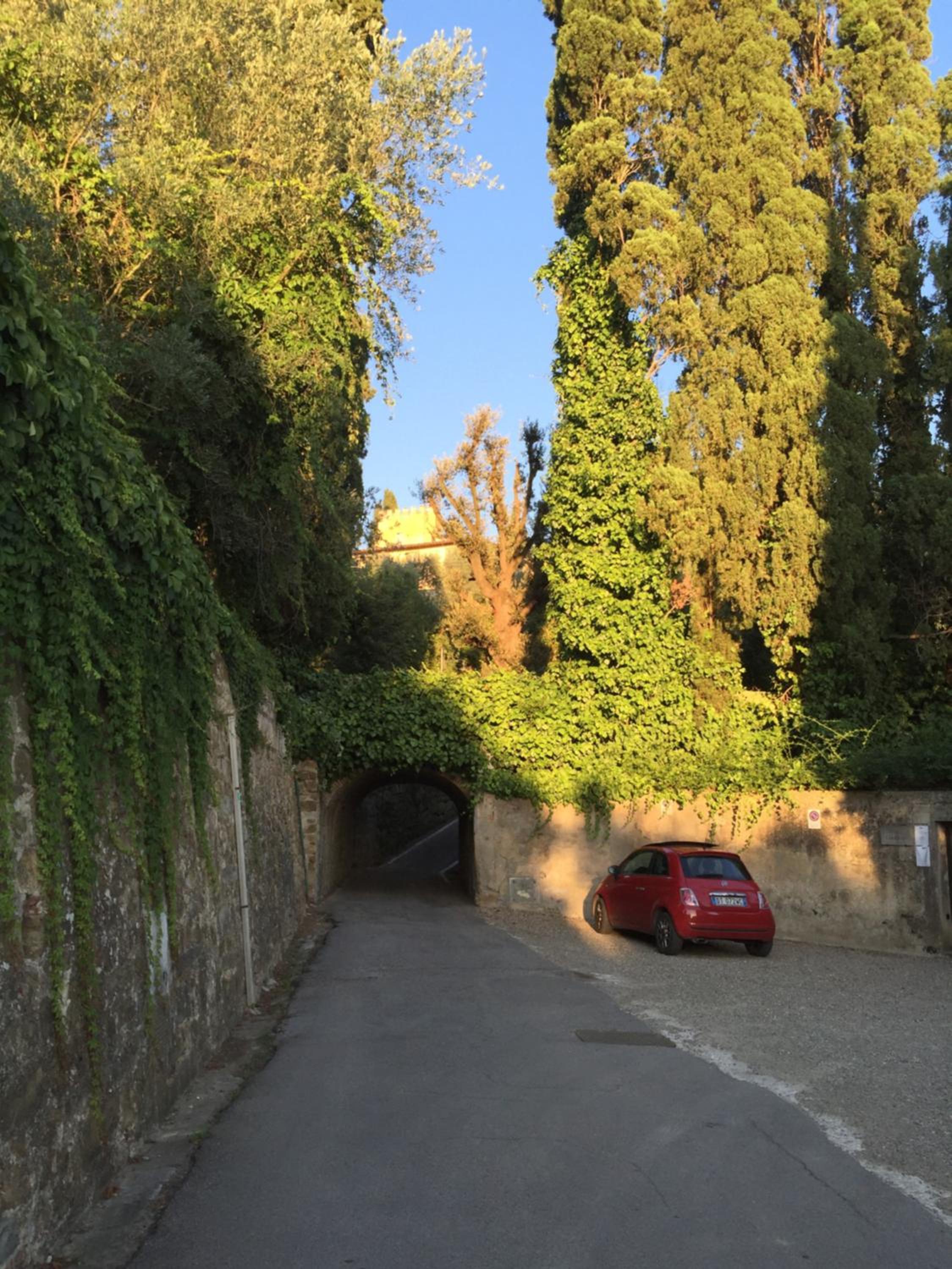 Photo 43