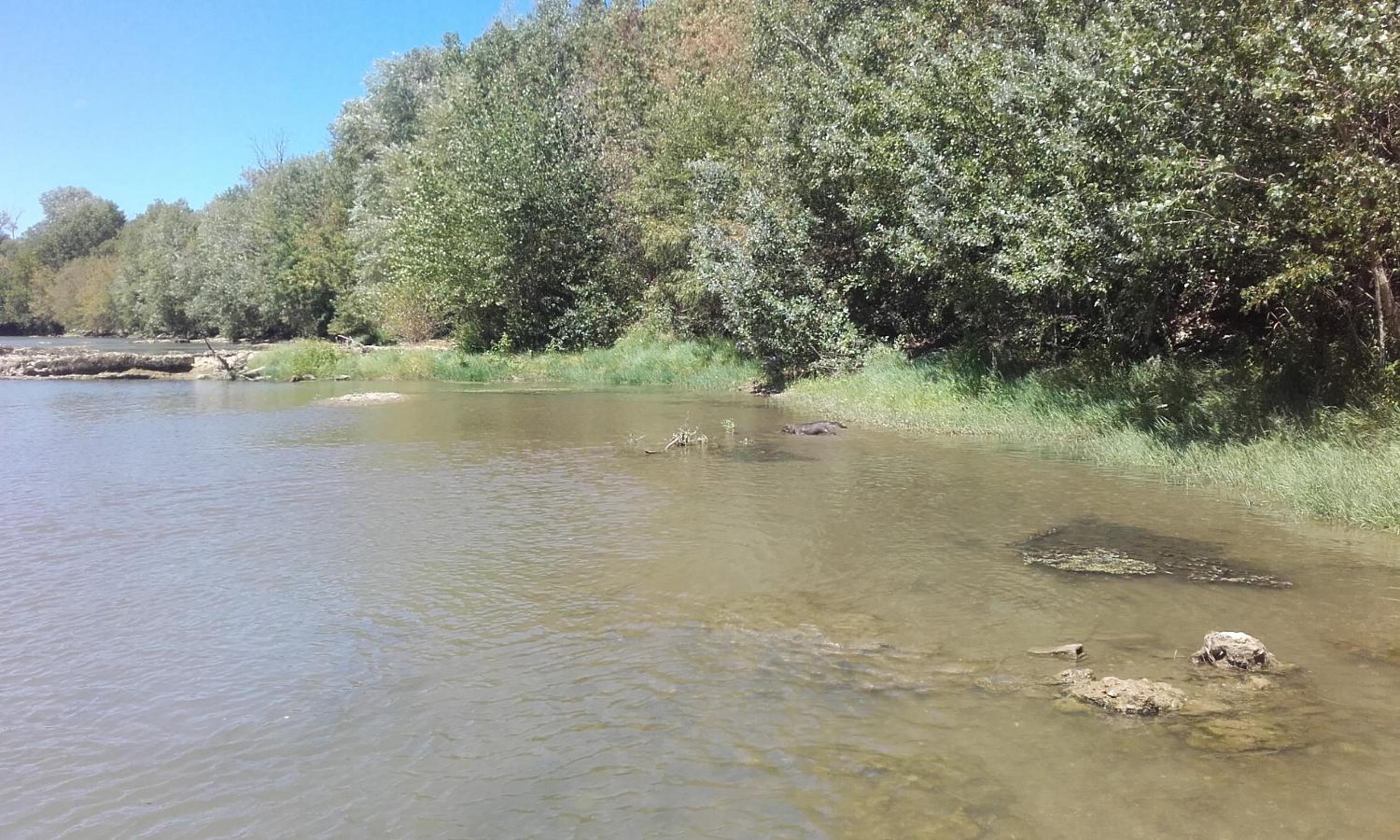 Photo 46