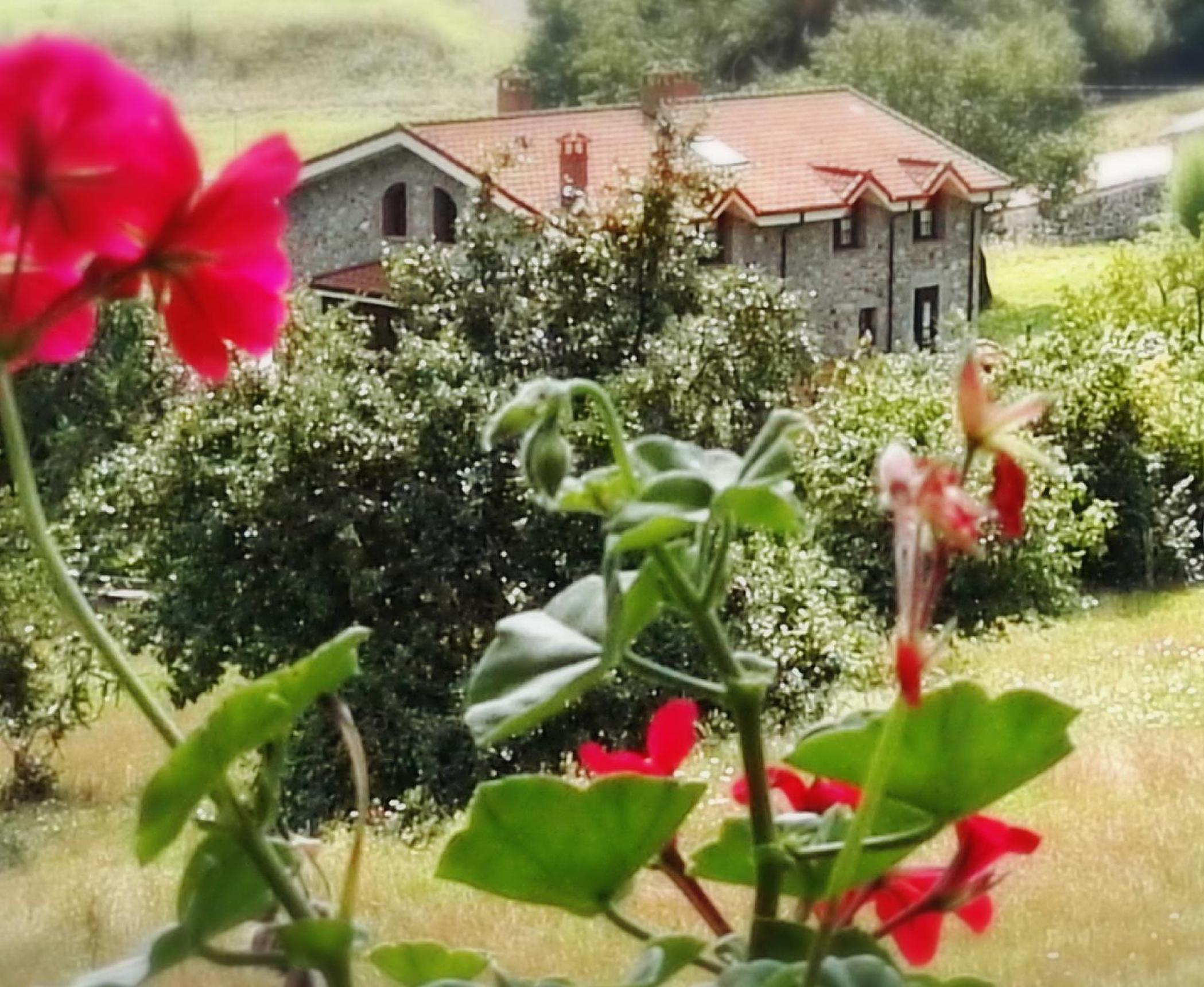Finca Artienza