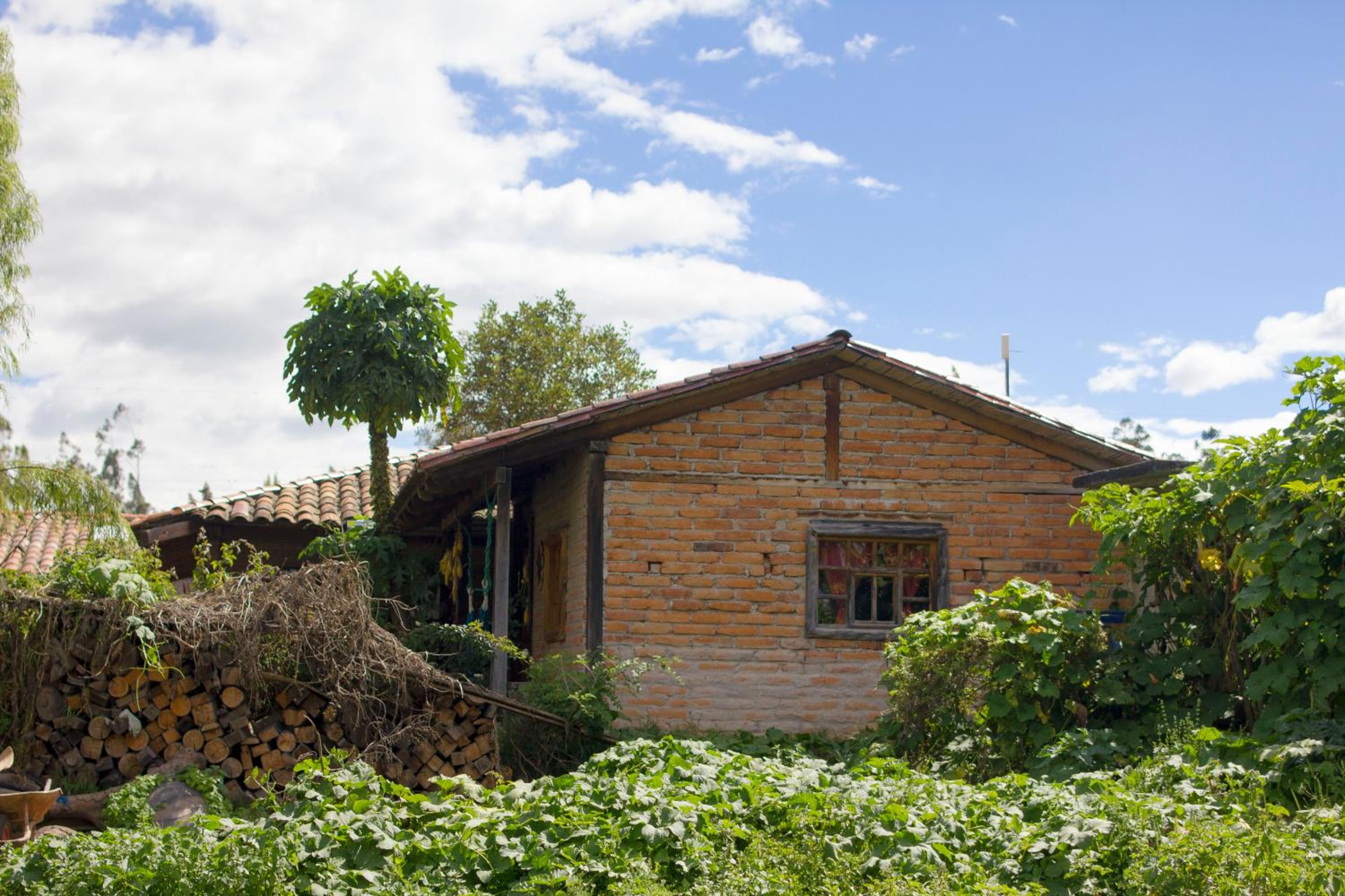 Photo 25