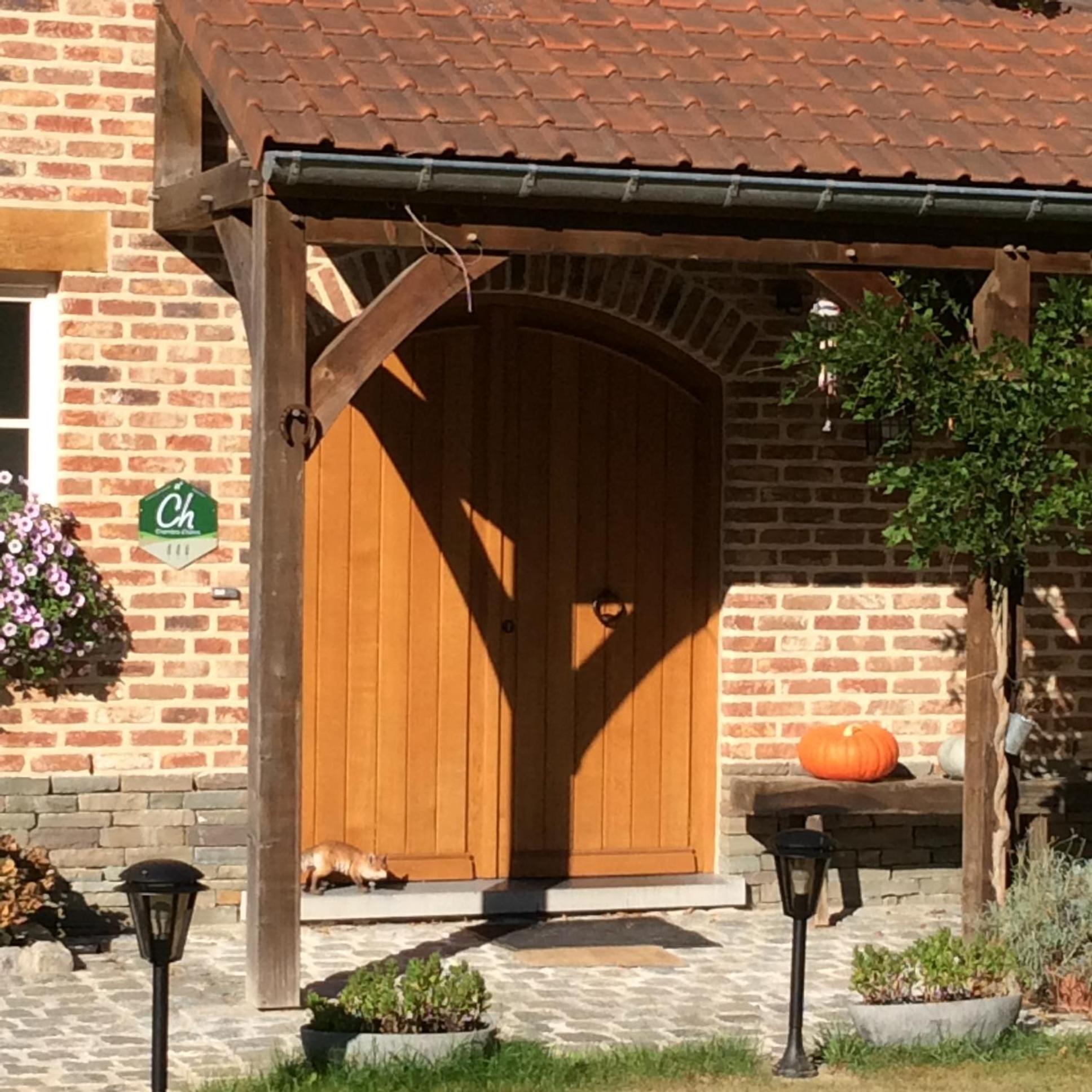 Le Goupil