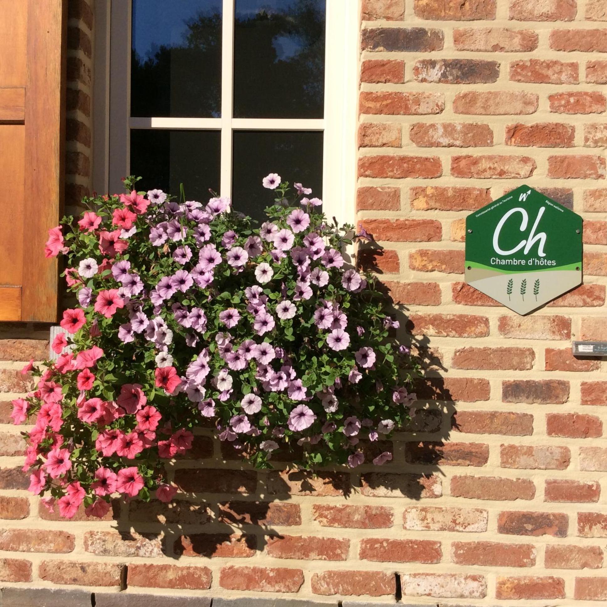 Le Goupil