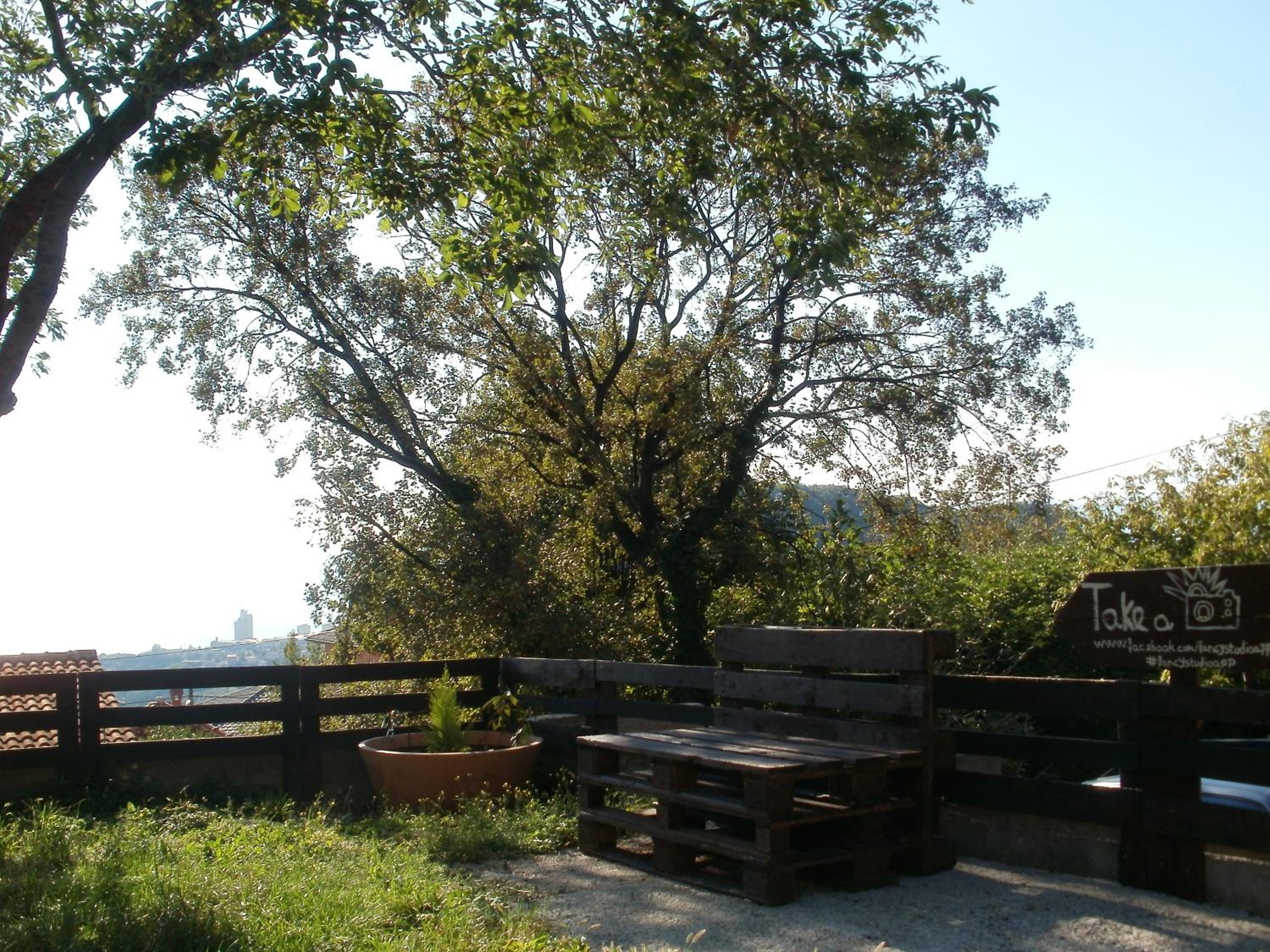 Photo 27