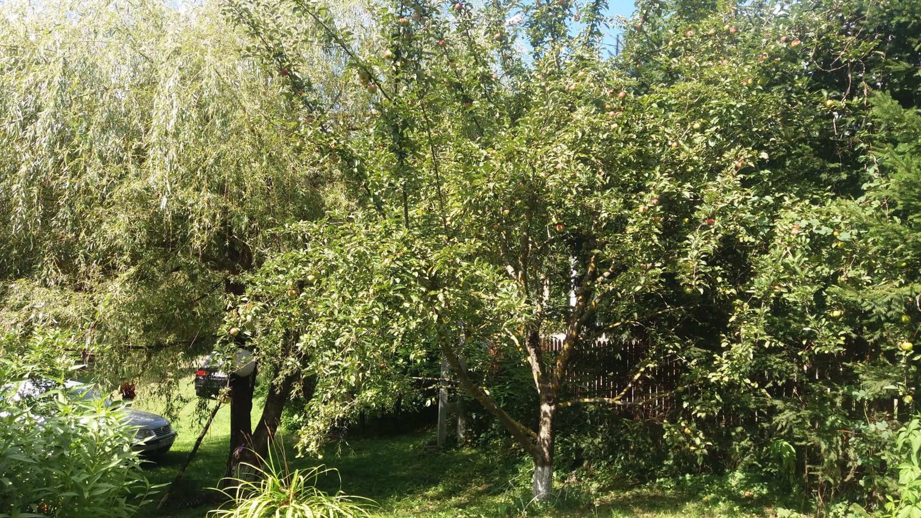 Photo 22