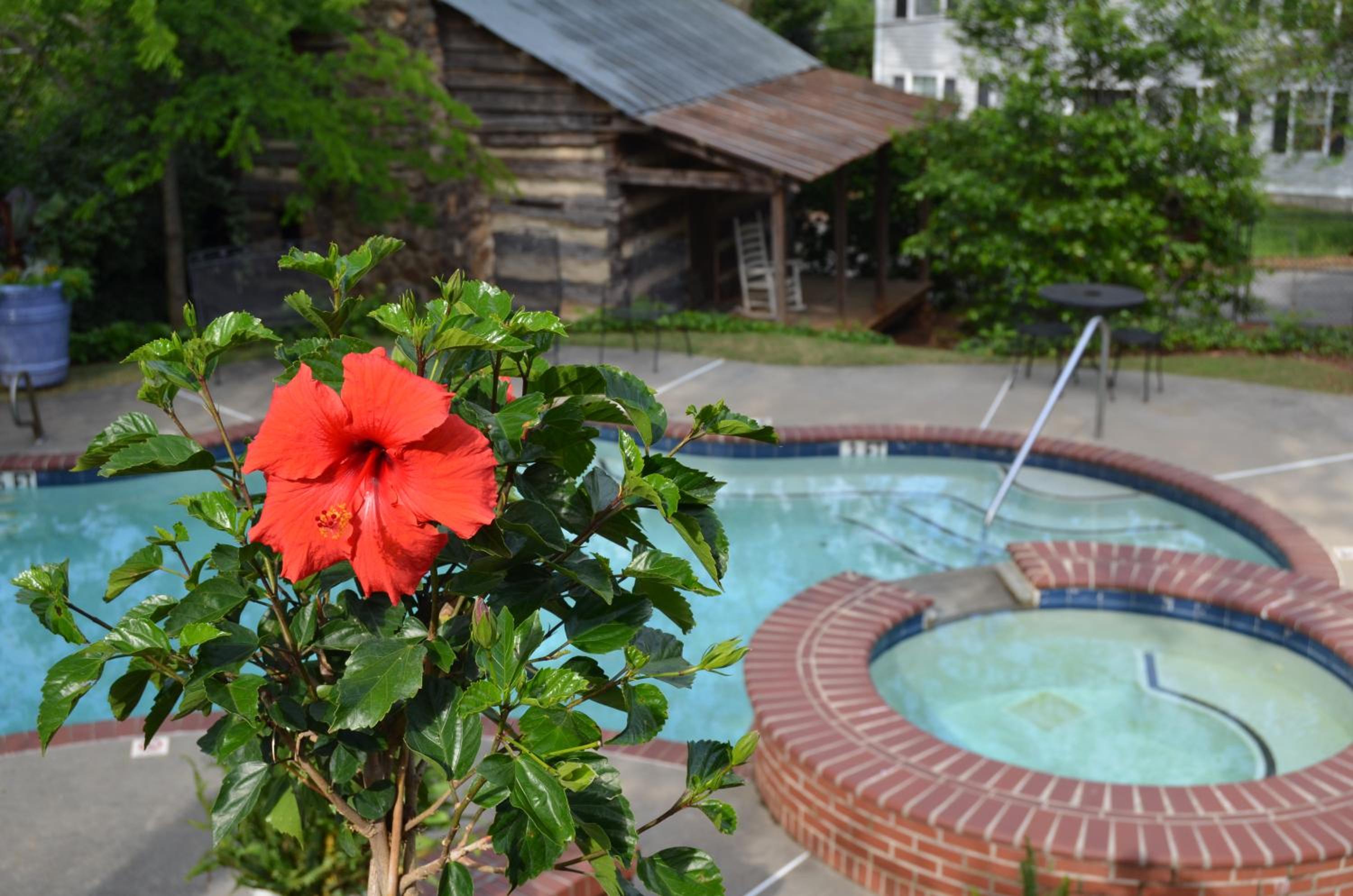 Stone Mountain Manor - Property Image 3