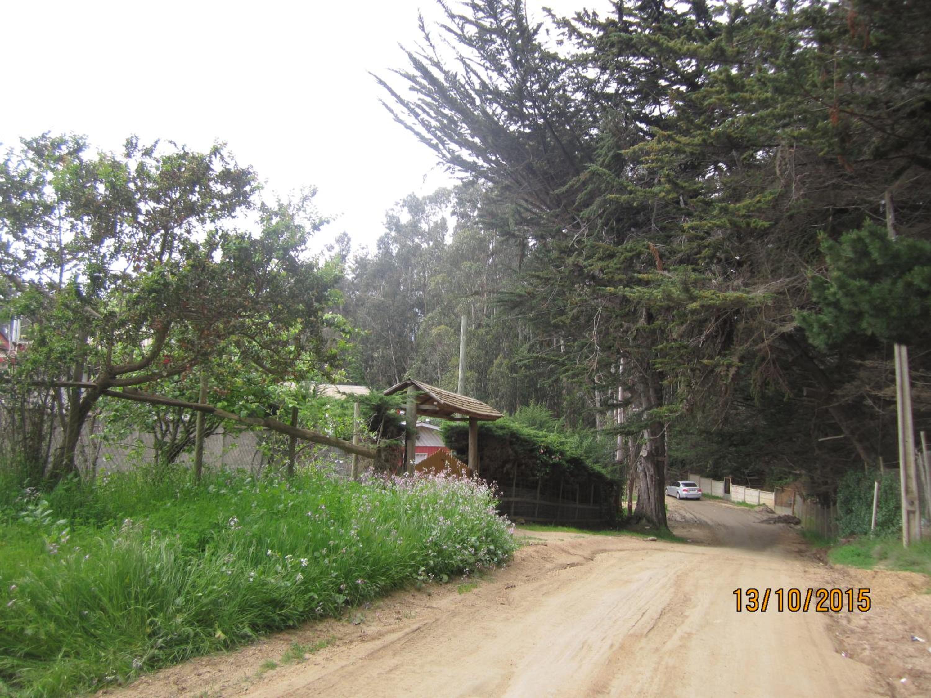 Cabañas Tu Bosque, photo 29
