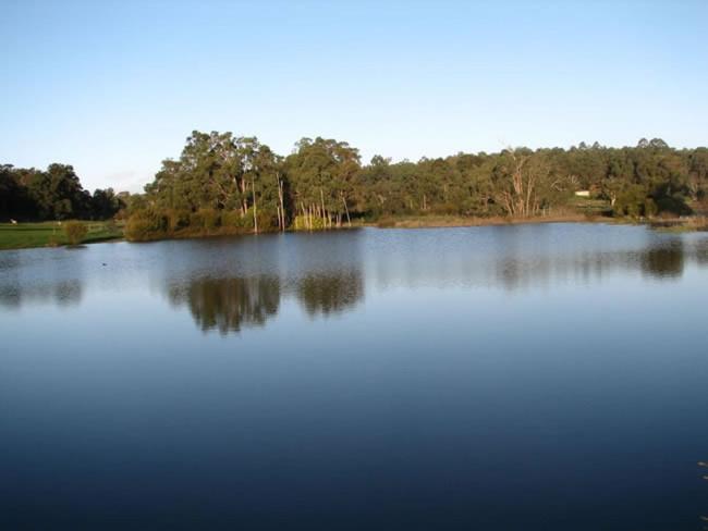Lakeview Lodge