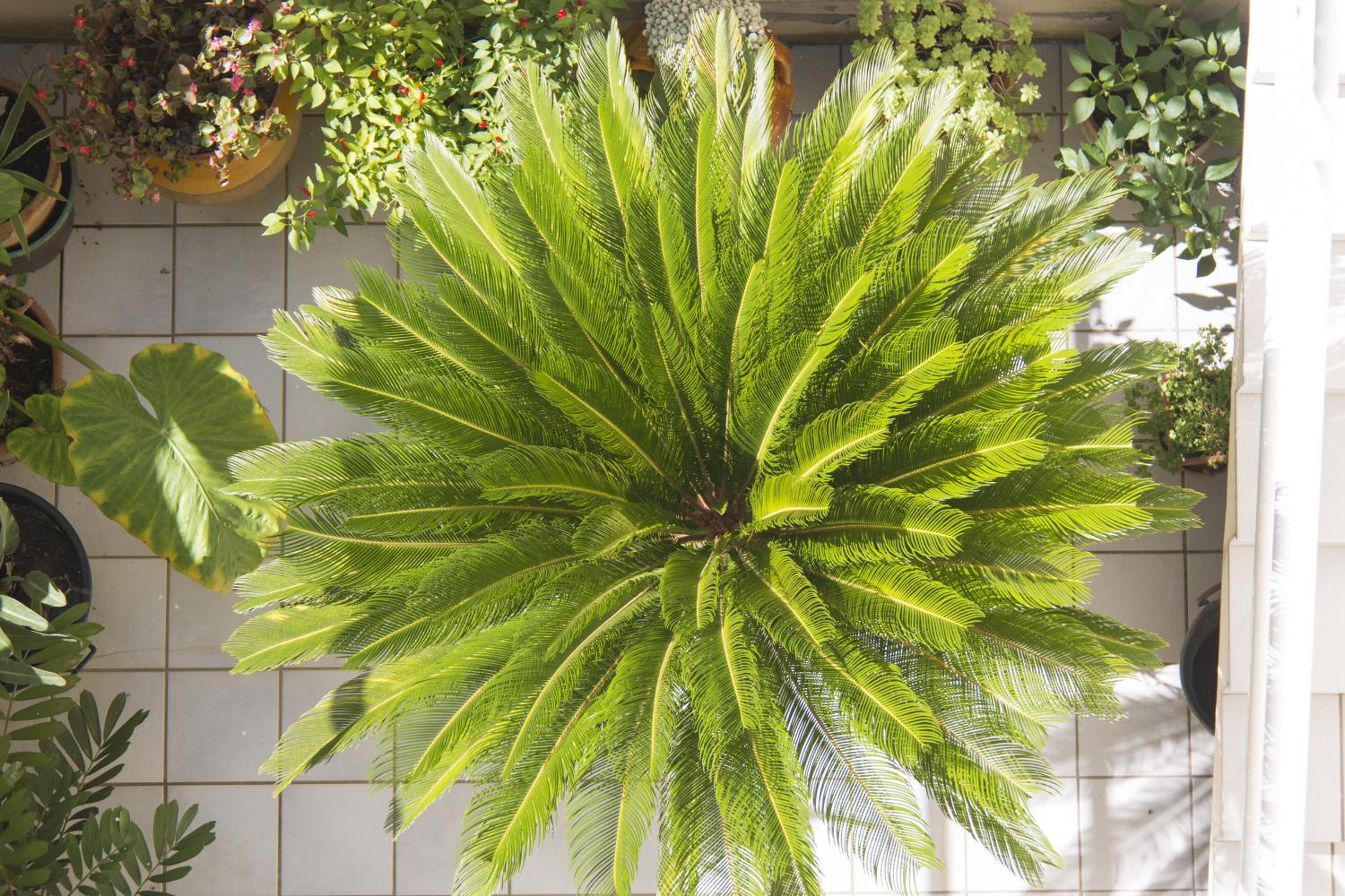 B&B Luxury