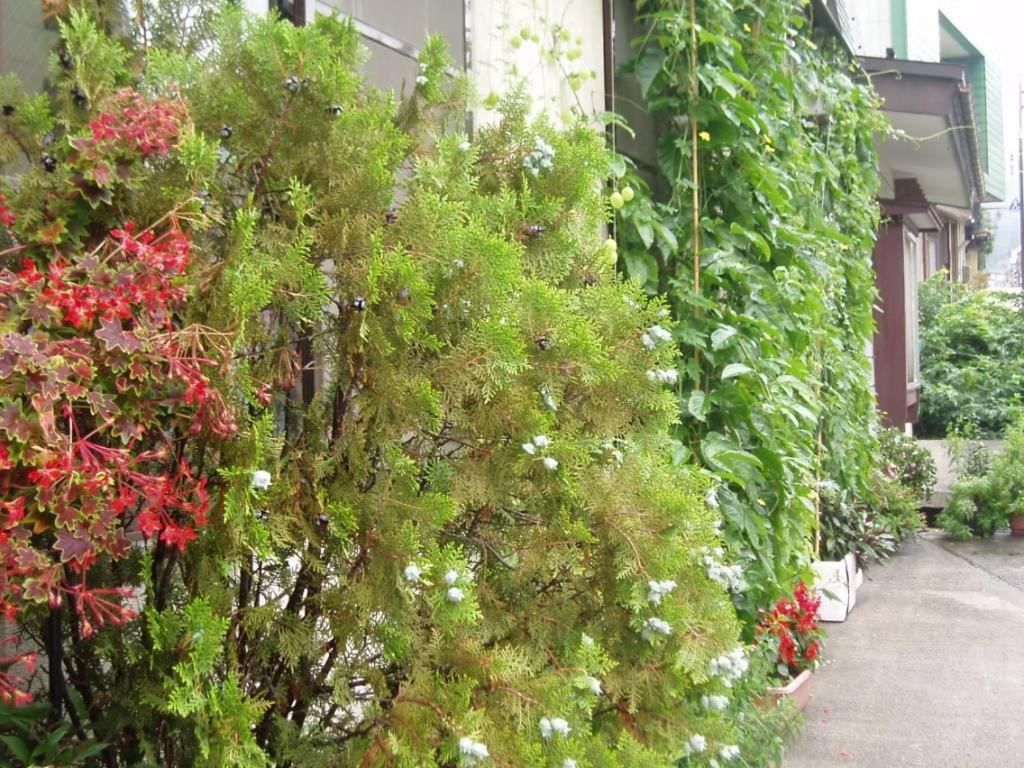 Photo 22