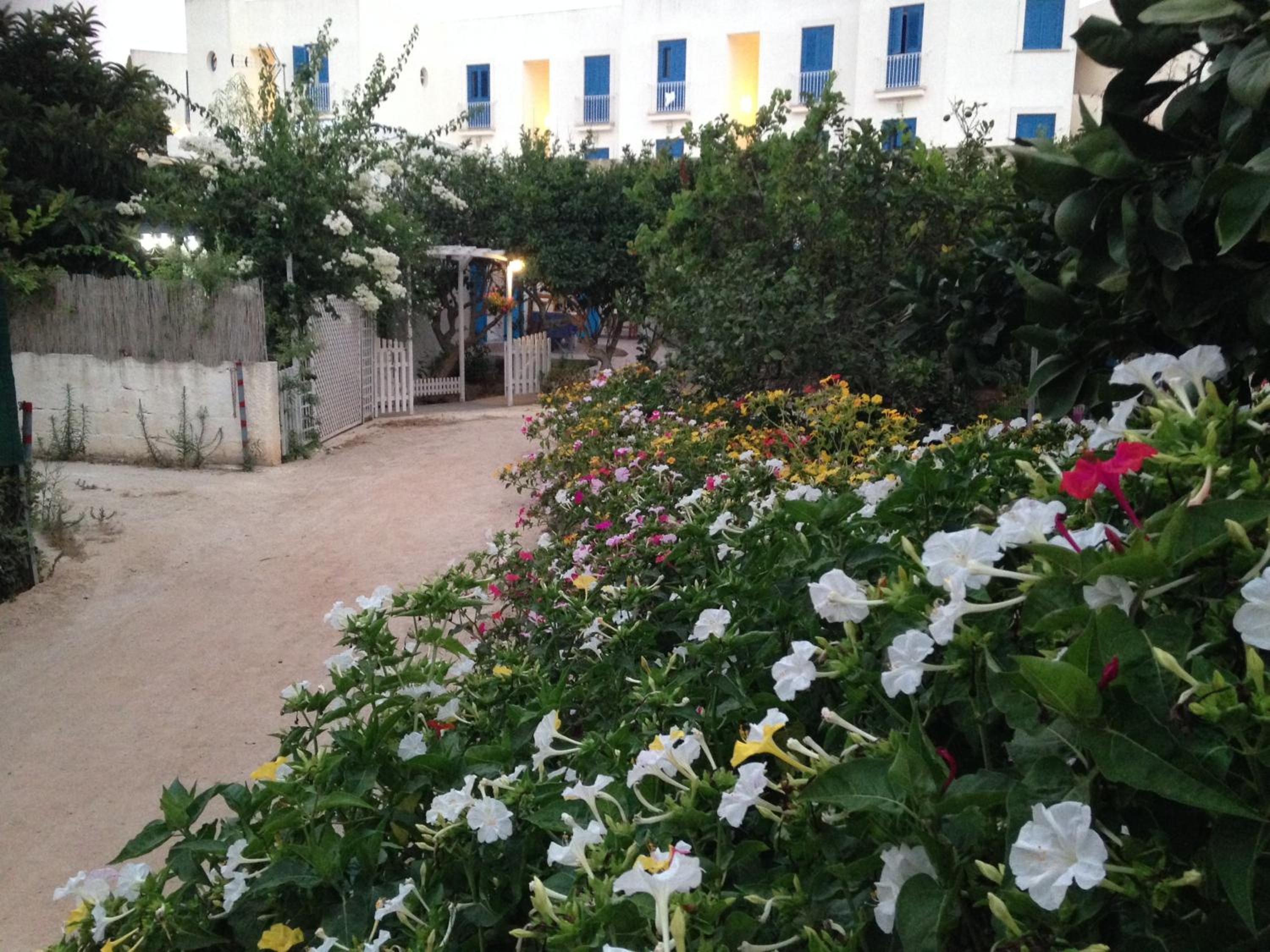 Photo 49