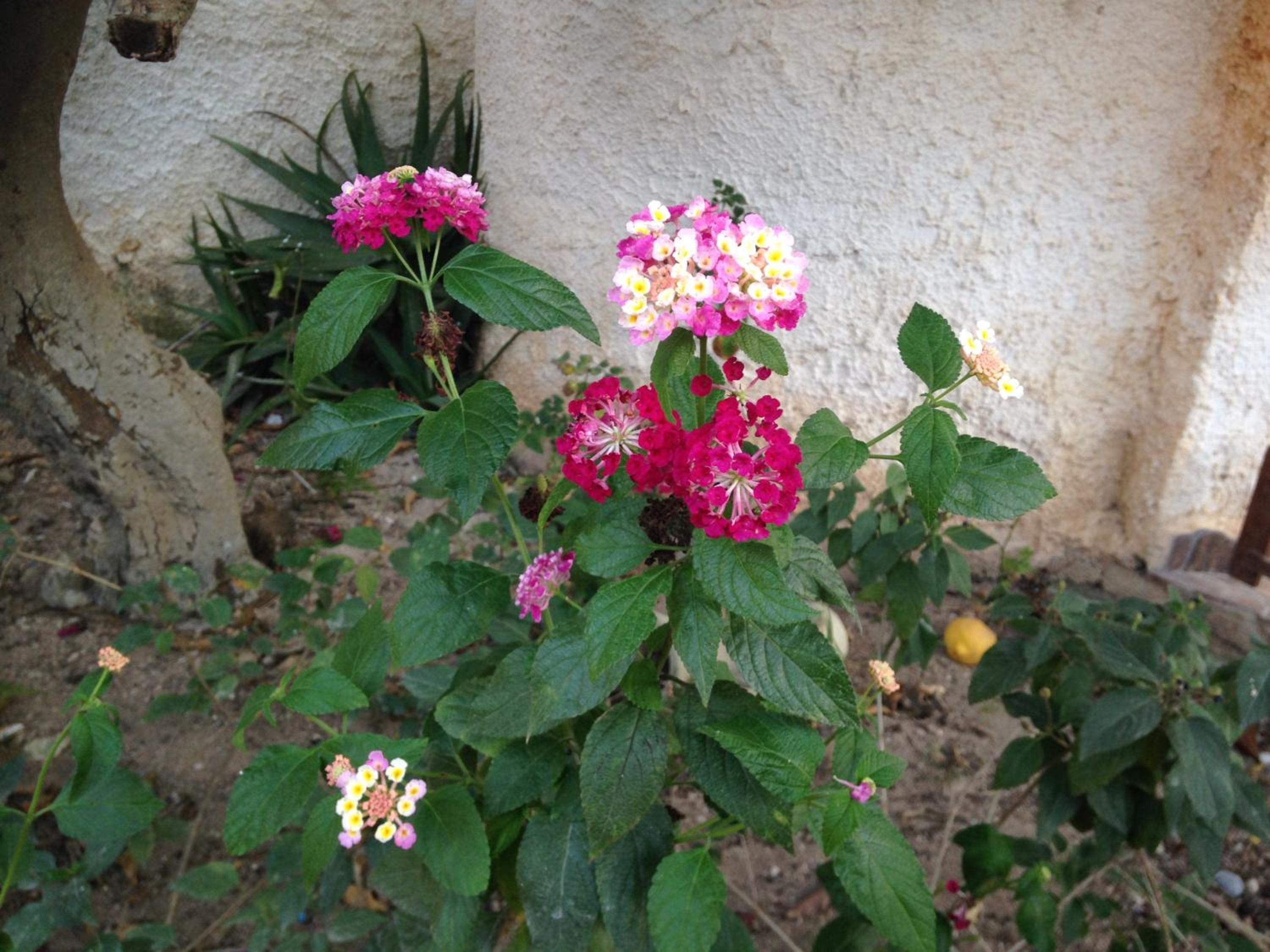 Photo 47