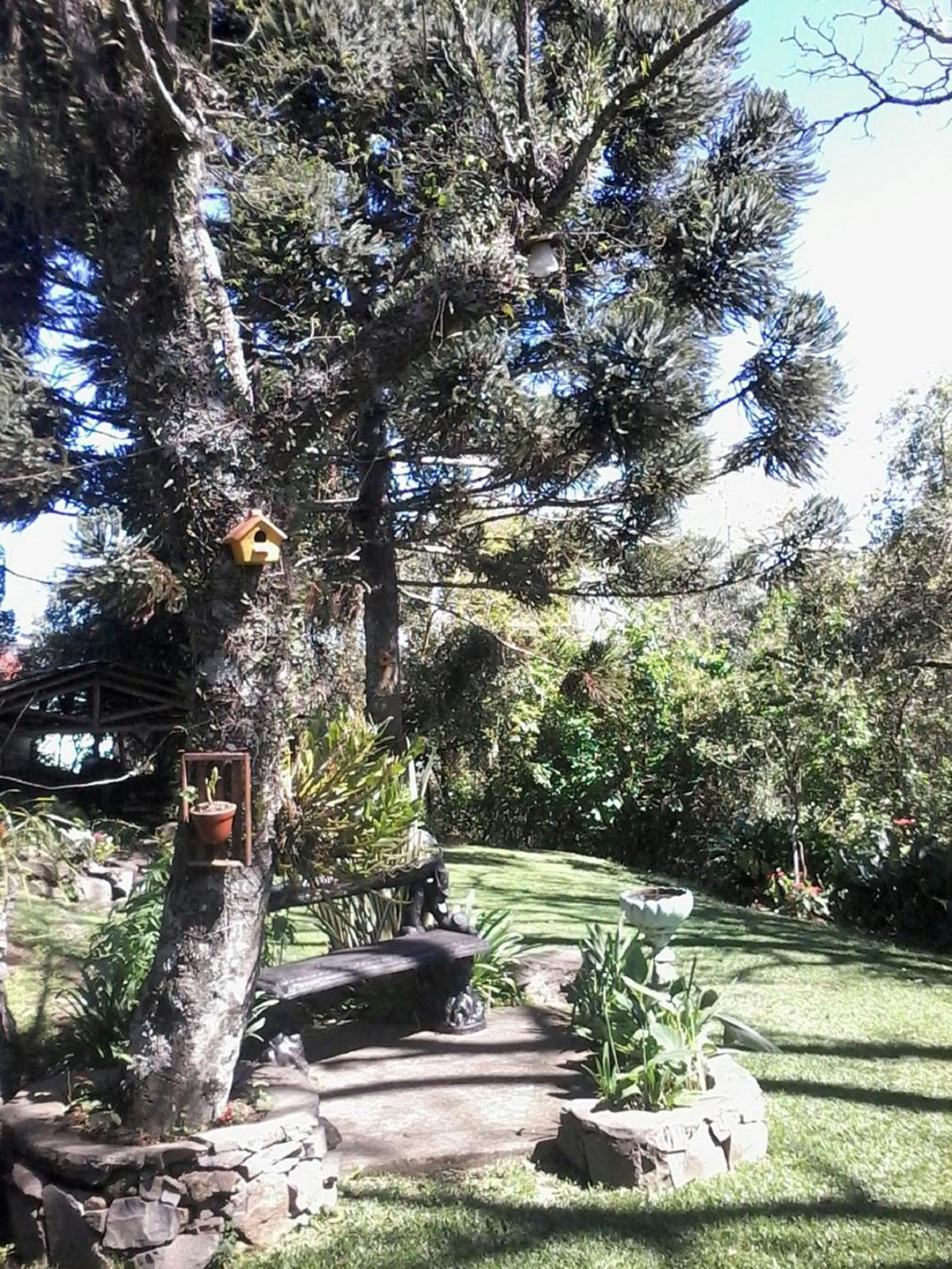 Casa das Palmeiras + Quiosque
