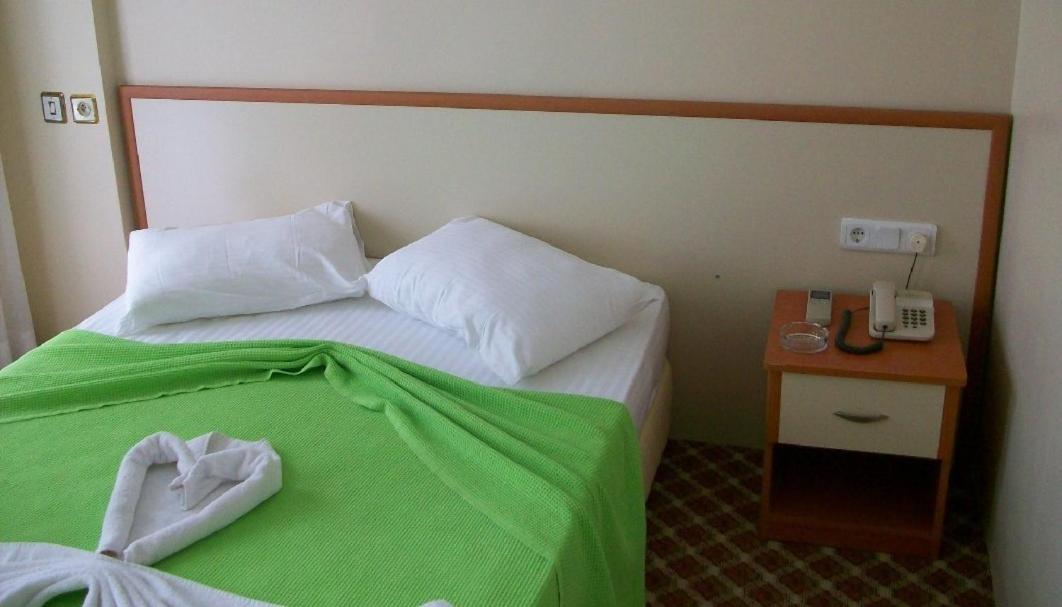 Kerman Hotel - Image 10