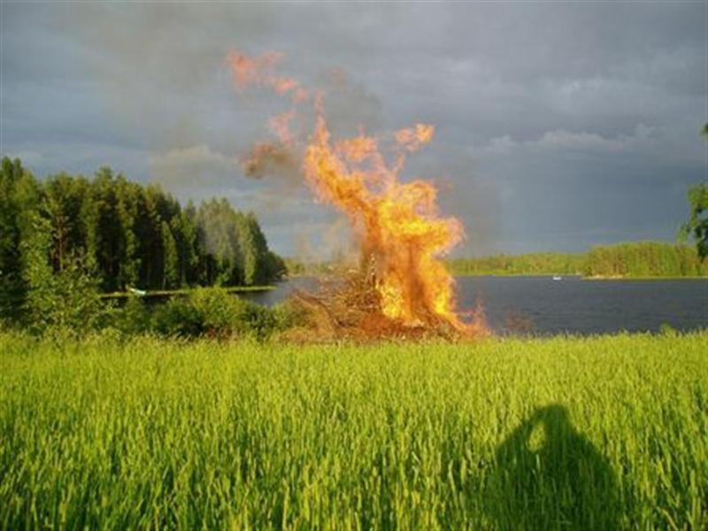Photo 24