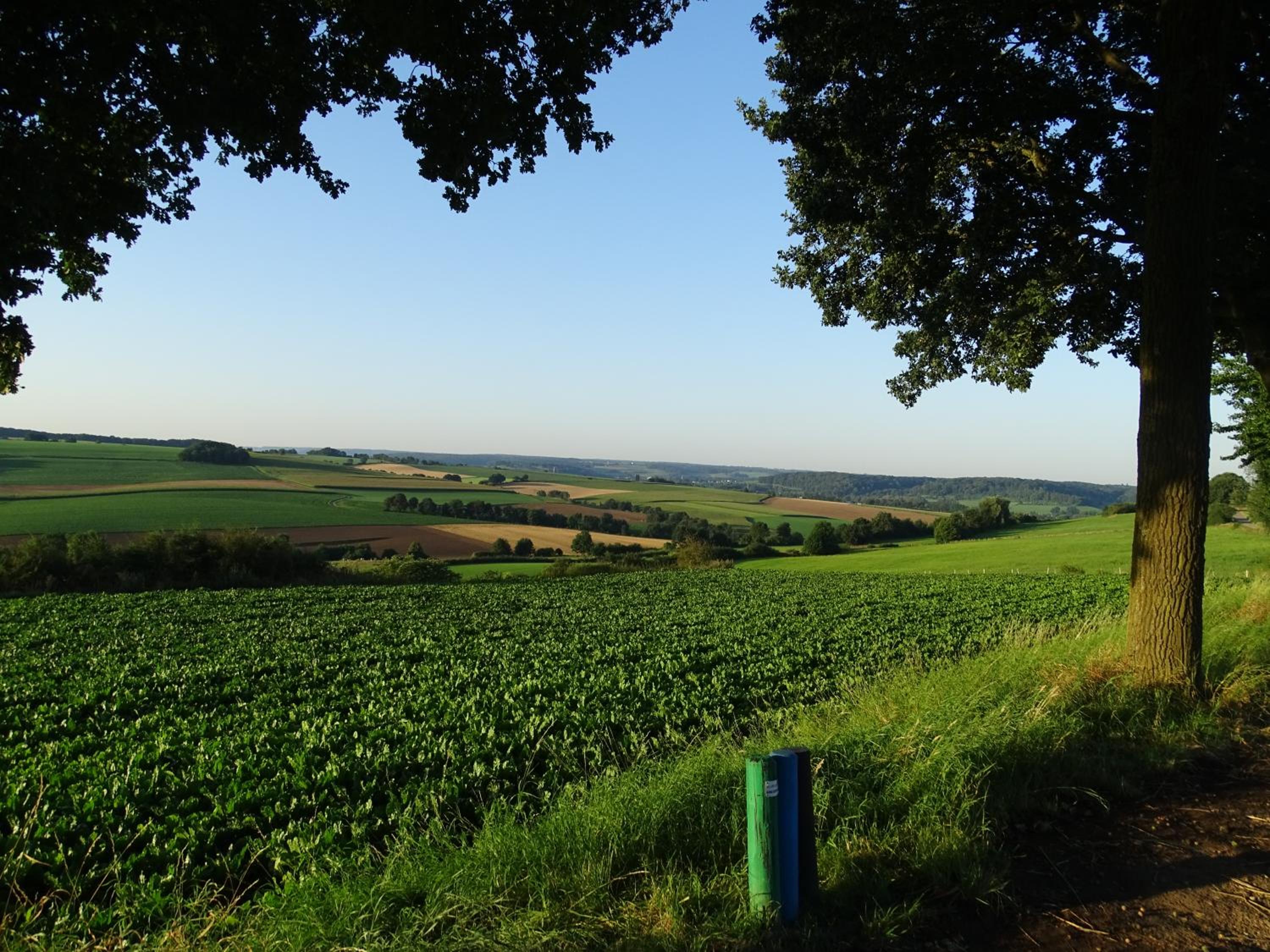 Vakantie appartement Paedshof Ransdaal view 2