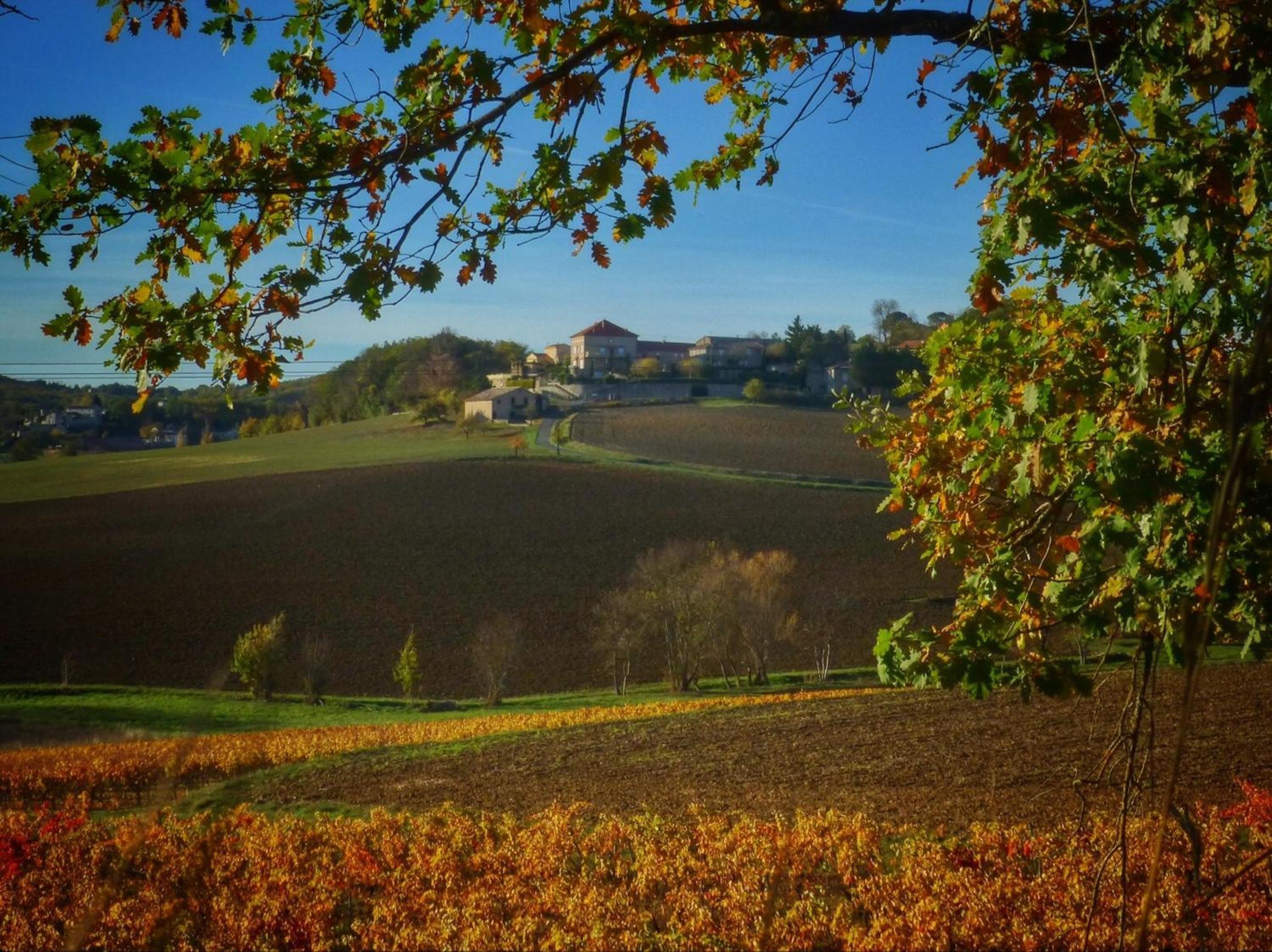 Château Labistoul