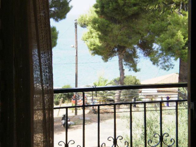 Studios Rosa view 5