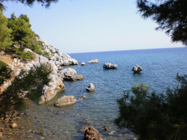 Photo 25