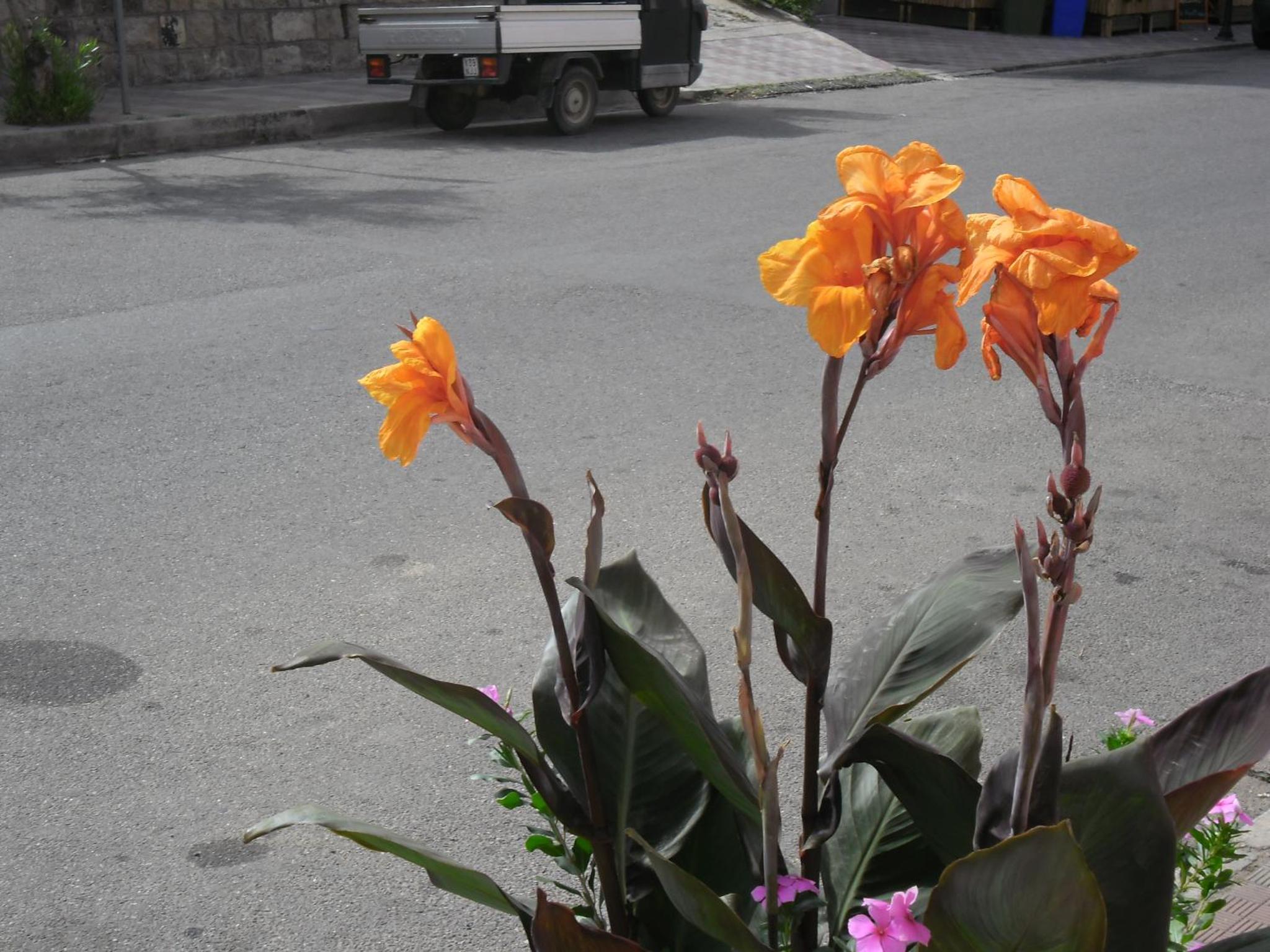 Photo 51
