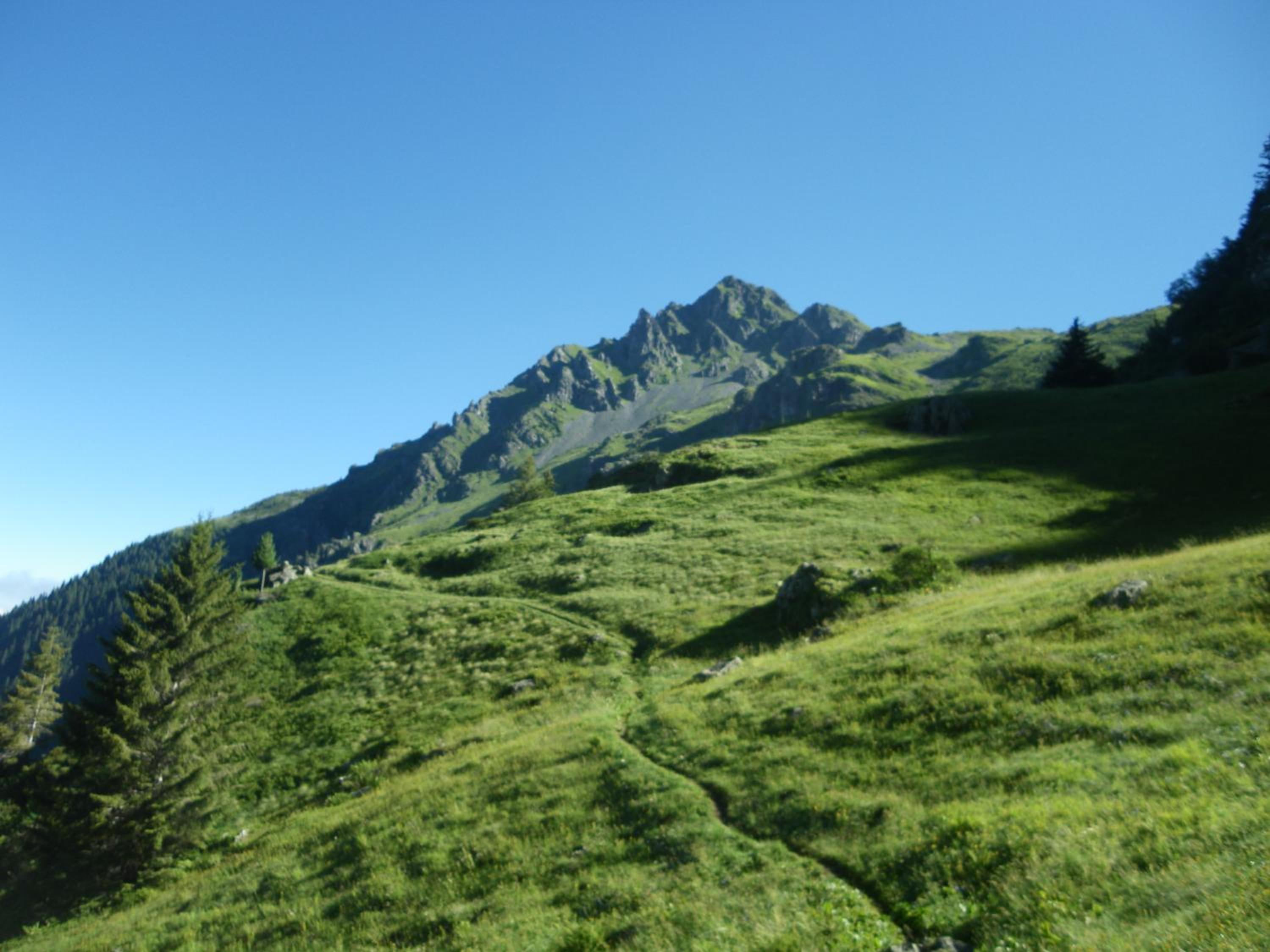 Gîte Le Cerf de Belledonne