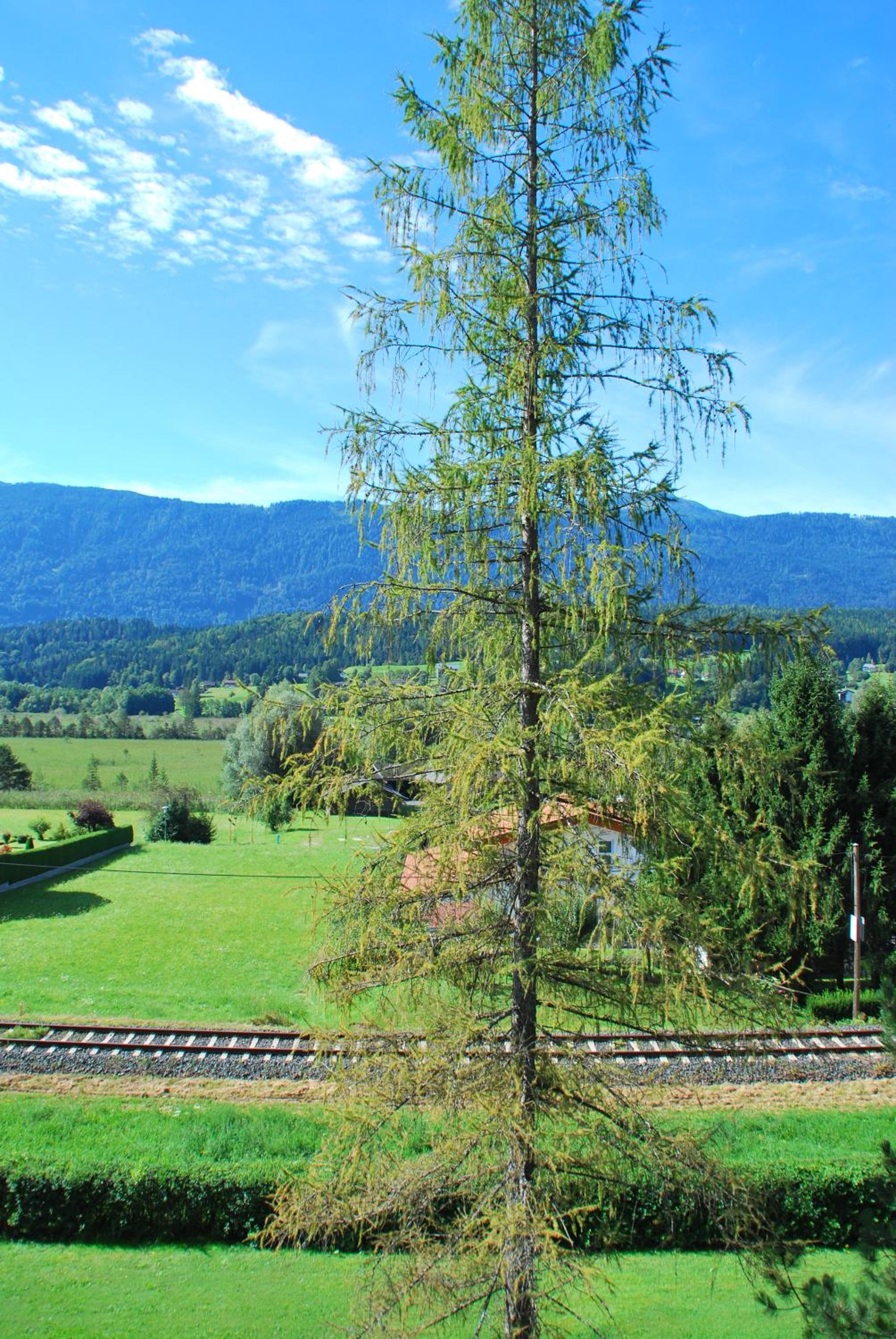 Haus Pock