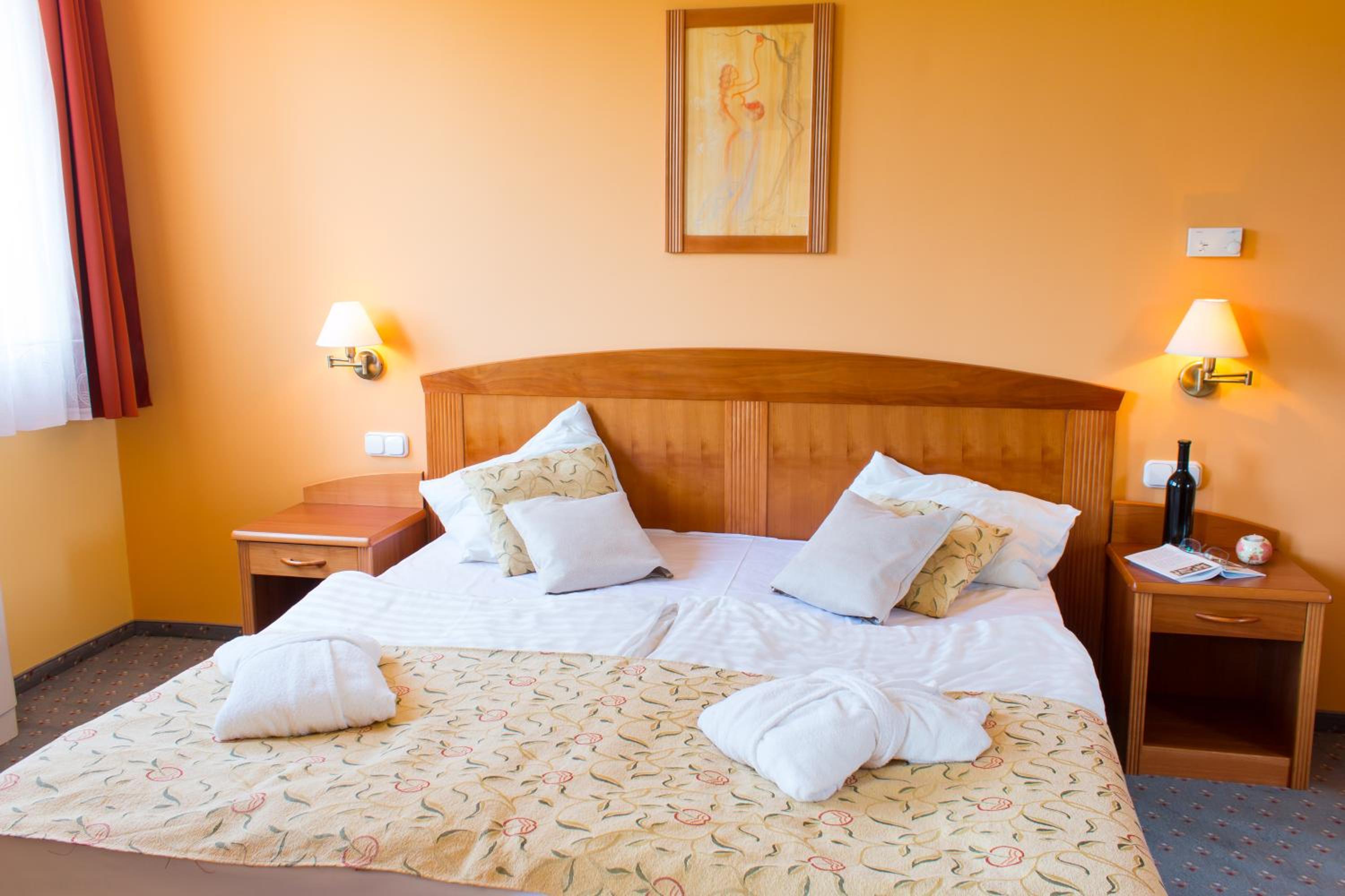 Karos Gold 813 Wellness Apartman view 5