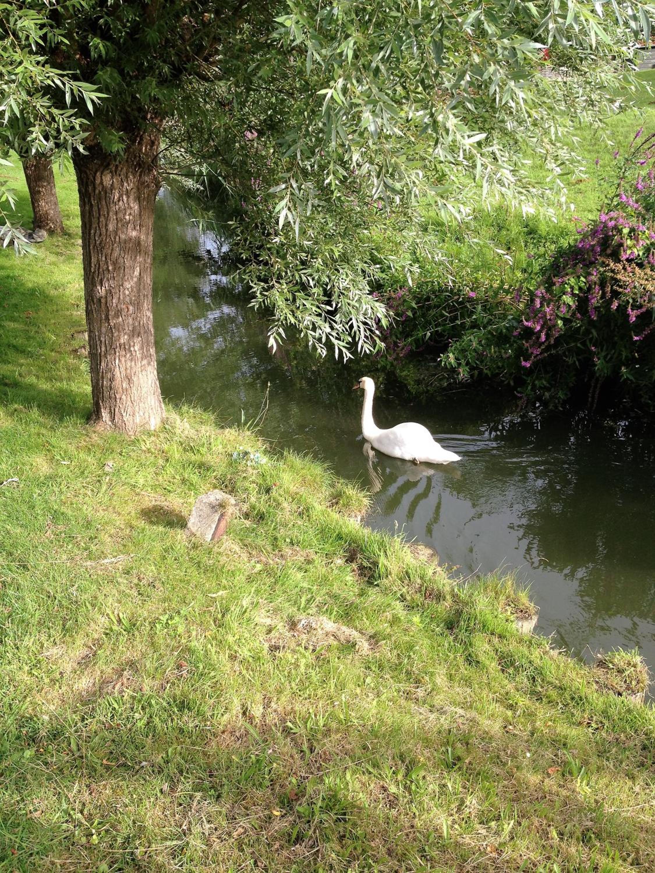 Photo 24