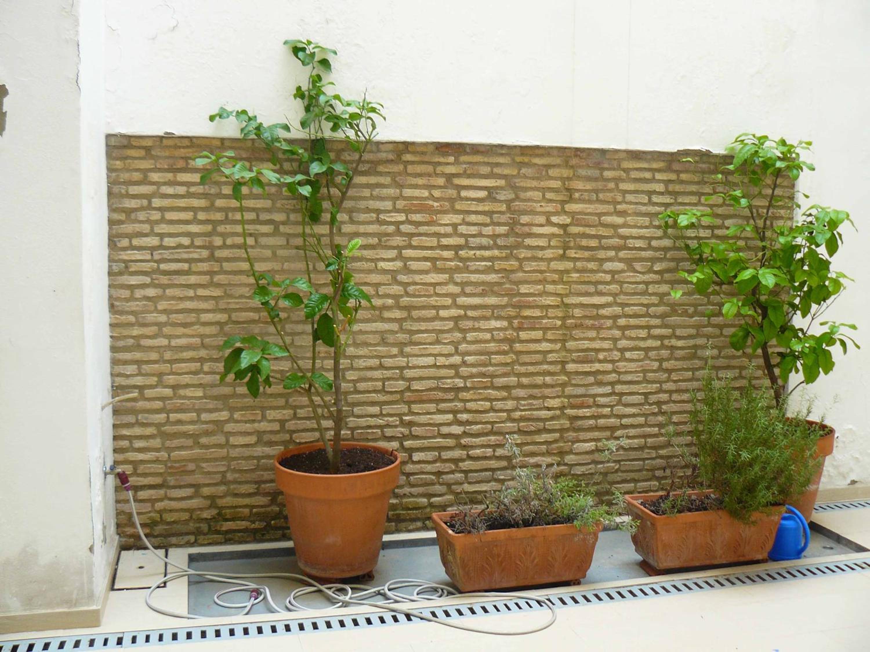 Alfaqueque Apartment en Seville