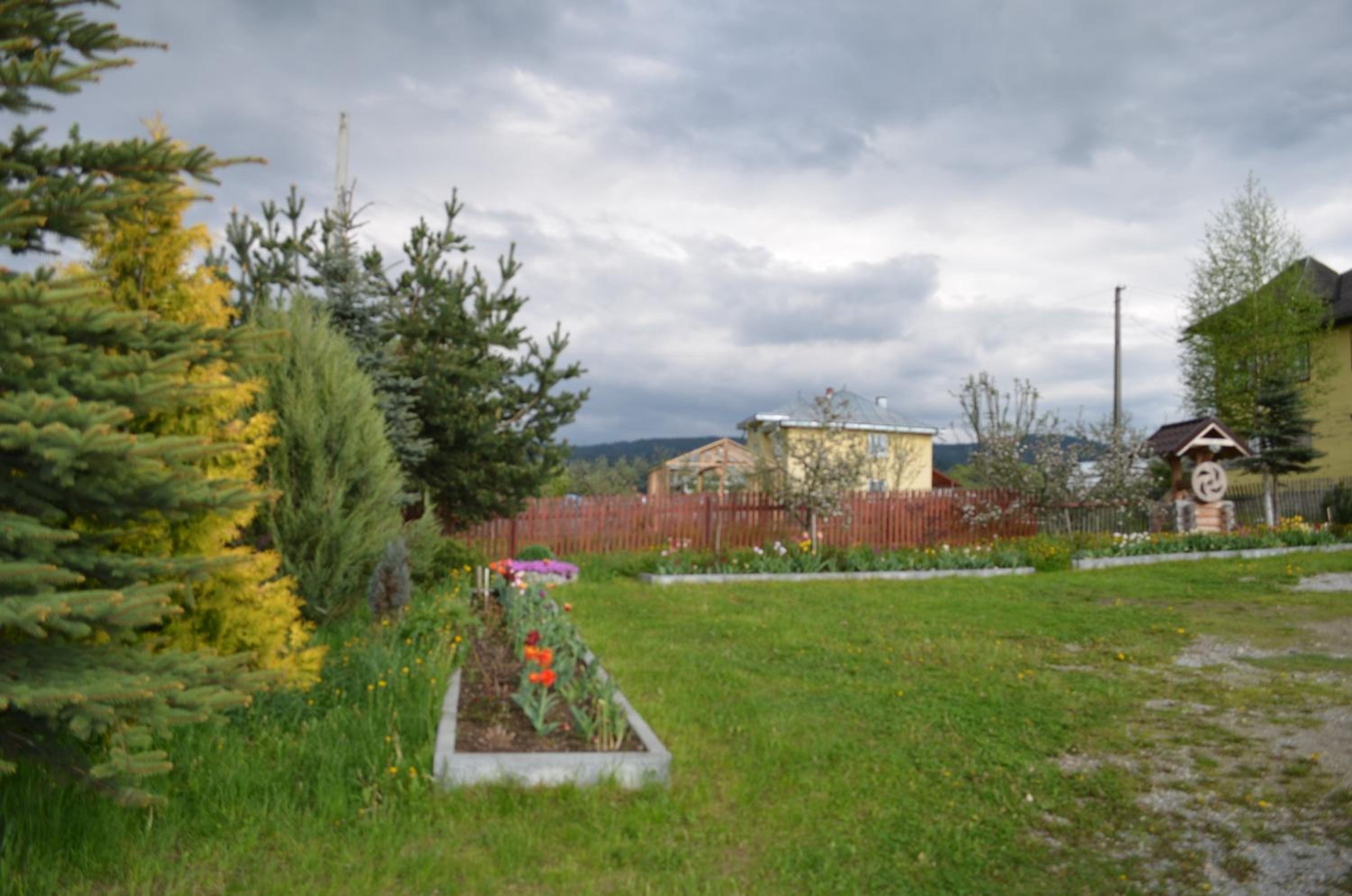 Photo 7